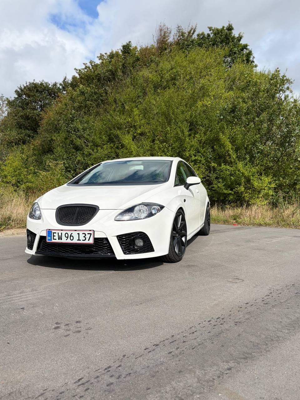 SEAT Leon 1.9 TDI Manuell, 105hk, 2009
