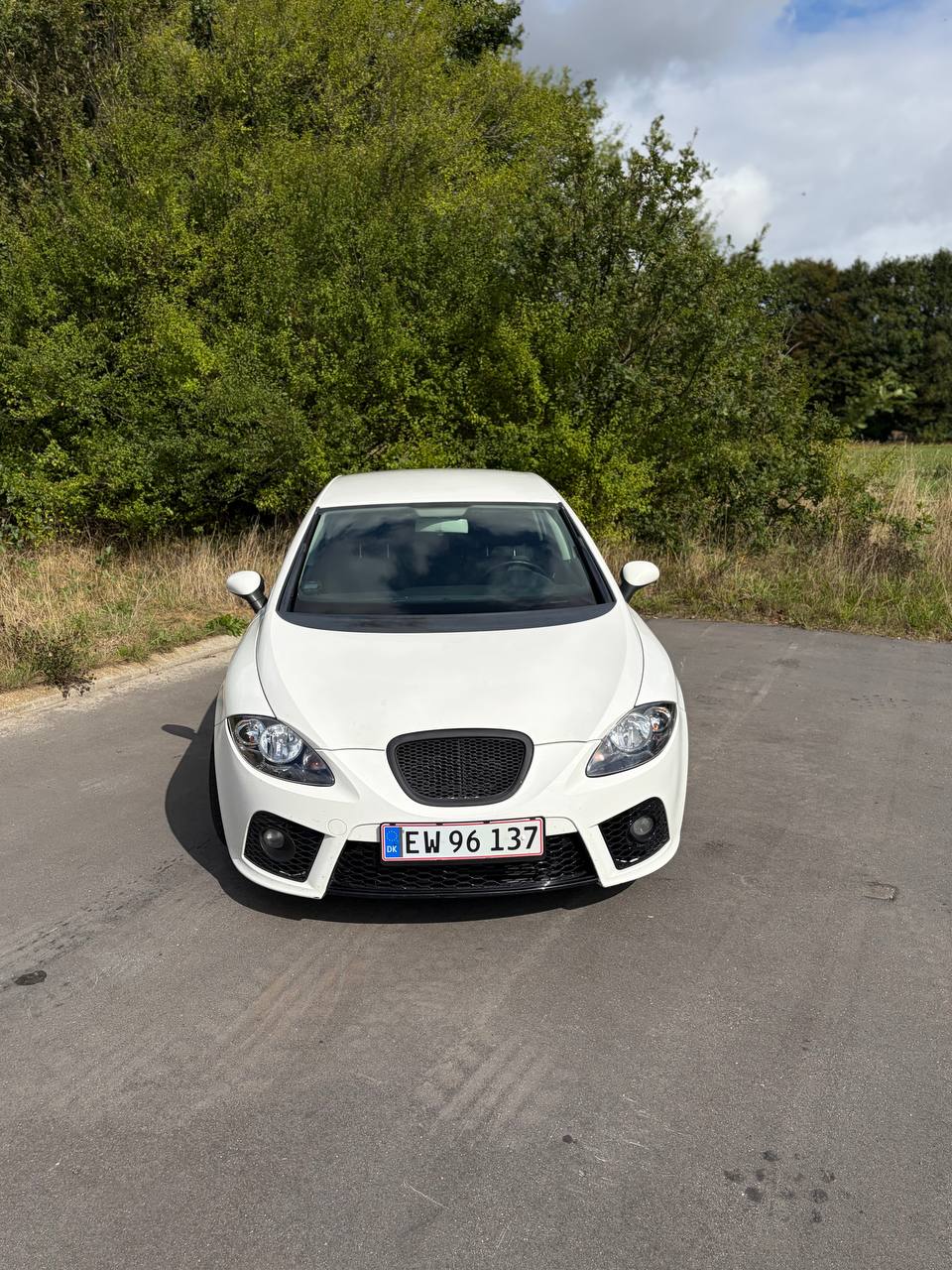 SEAT Leon 1.9 TDI Manuell, 105hk, 2009