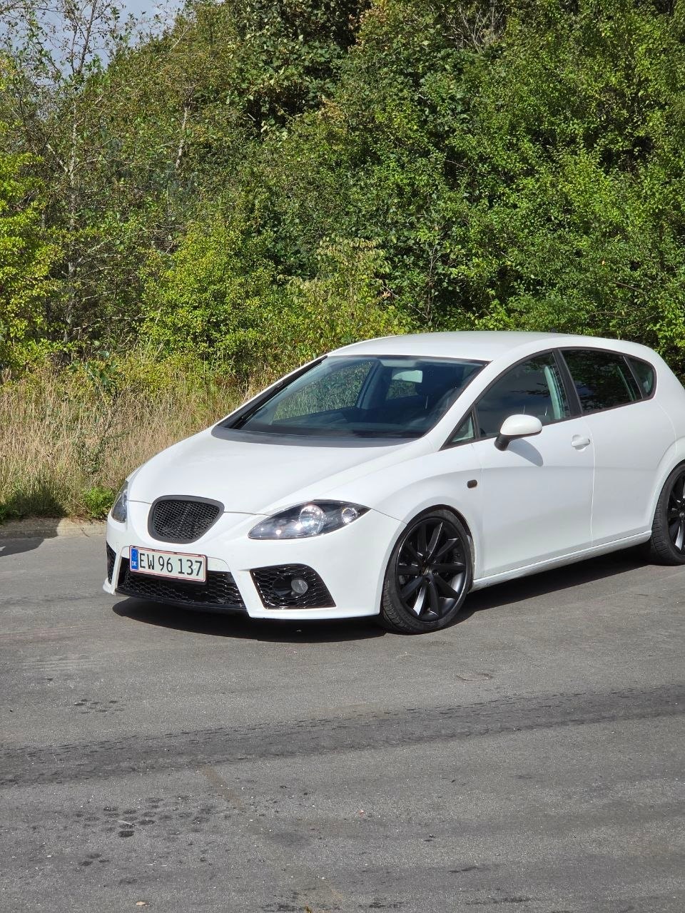 SEAT Leon 1.9 TDI Manuell, 105hk, 2009