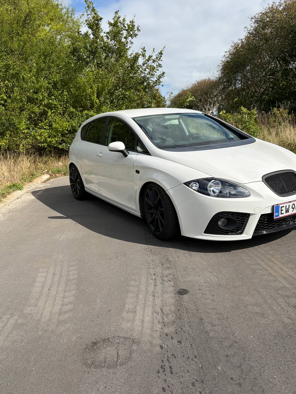 SEAT Leon 1.9 TDI Manuell, 105hk, 2009