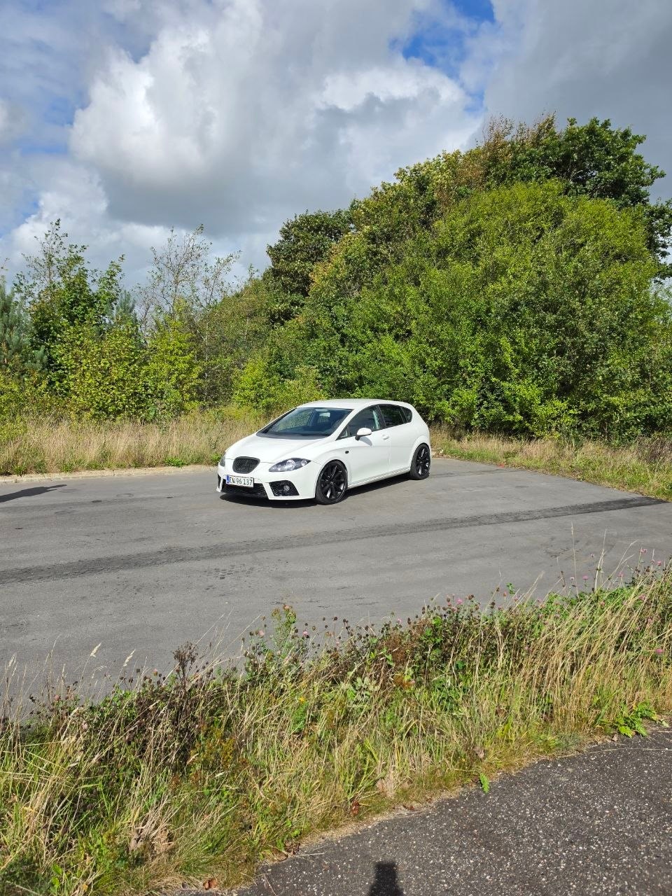SEAT Leon 1.9 TDI Manuell, 105hk, 2009