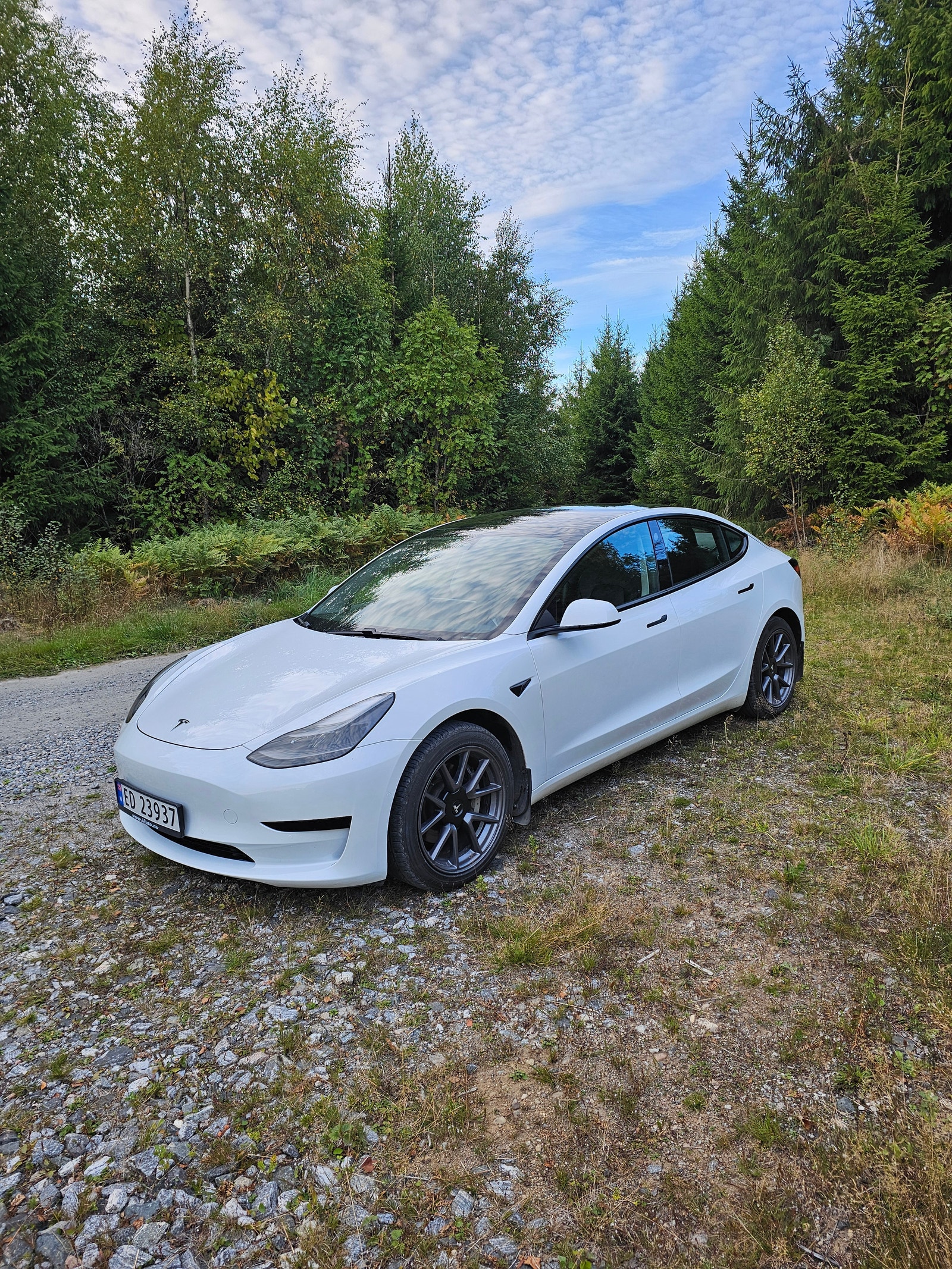 Tesla Model 3 Standard Range Plus, 325ps, 2021