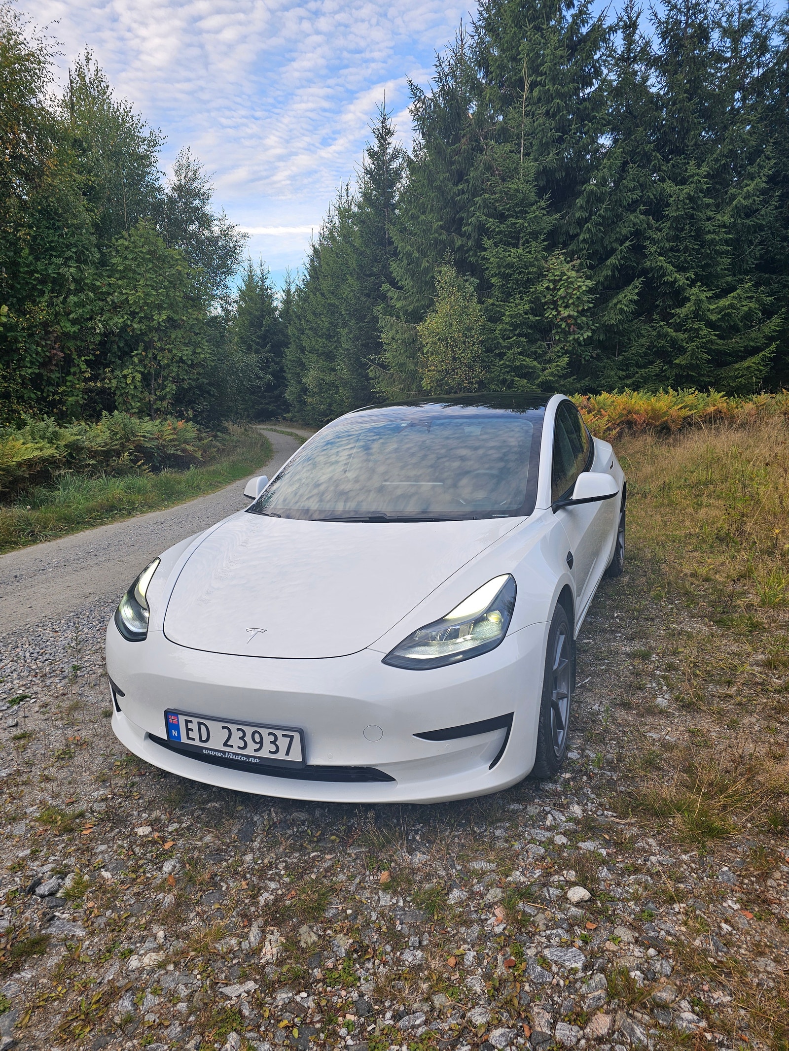 Tesla Model 3 Standard Range Plus, 325ps, 2021