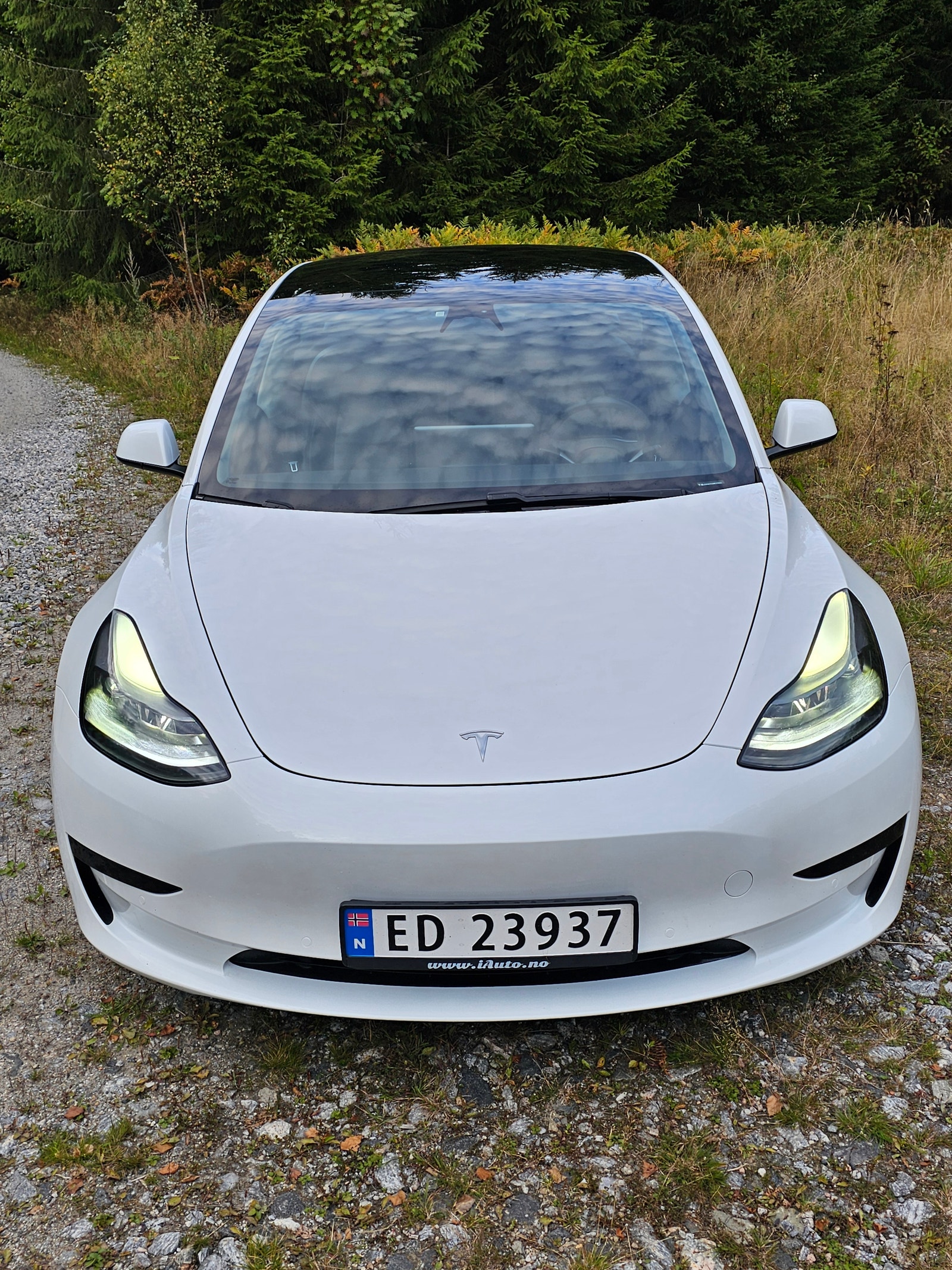 Tesla Model 3 Standard Range Plus, 325ps, 2021