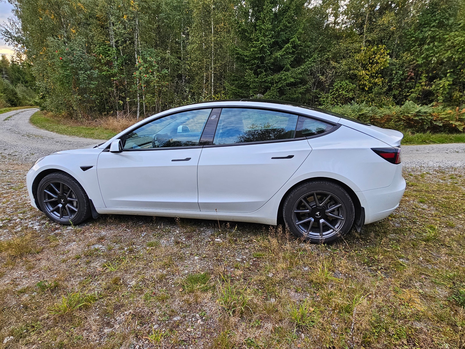 Tesla Model 3 Standard Range Plus, 325ps, 2021
