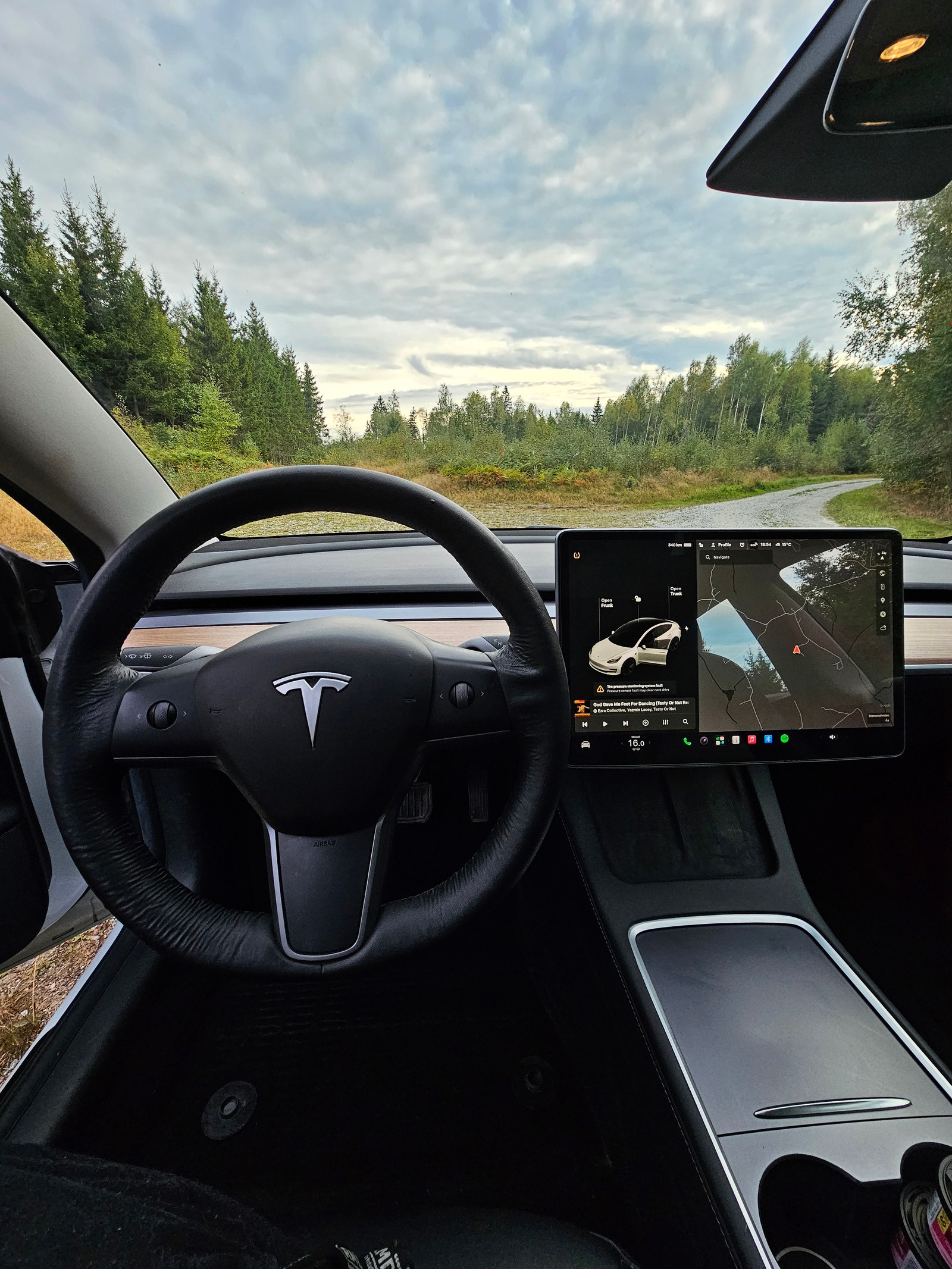 Tesla Model 3 Standard Range Plus, 325ps, 2021