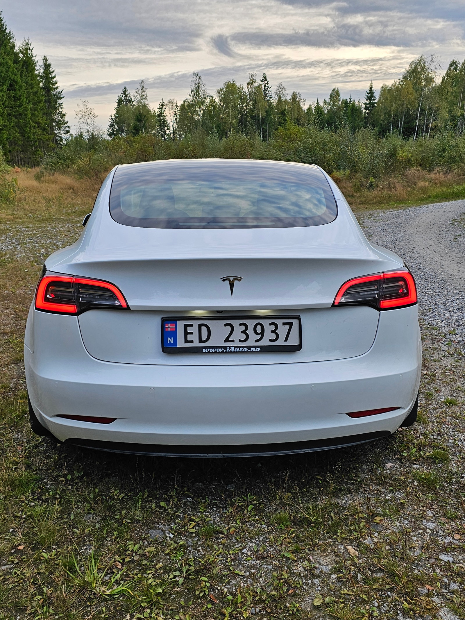 Tesla Model 3 Standard Range Plus, 325ps, 2021