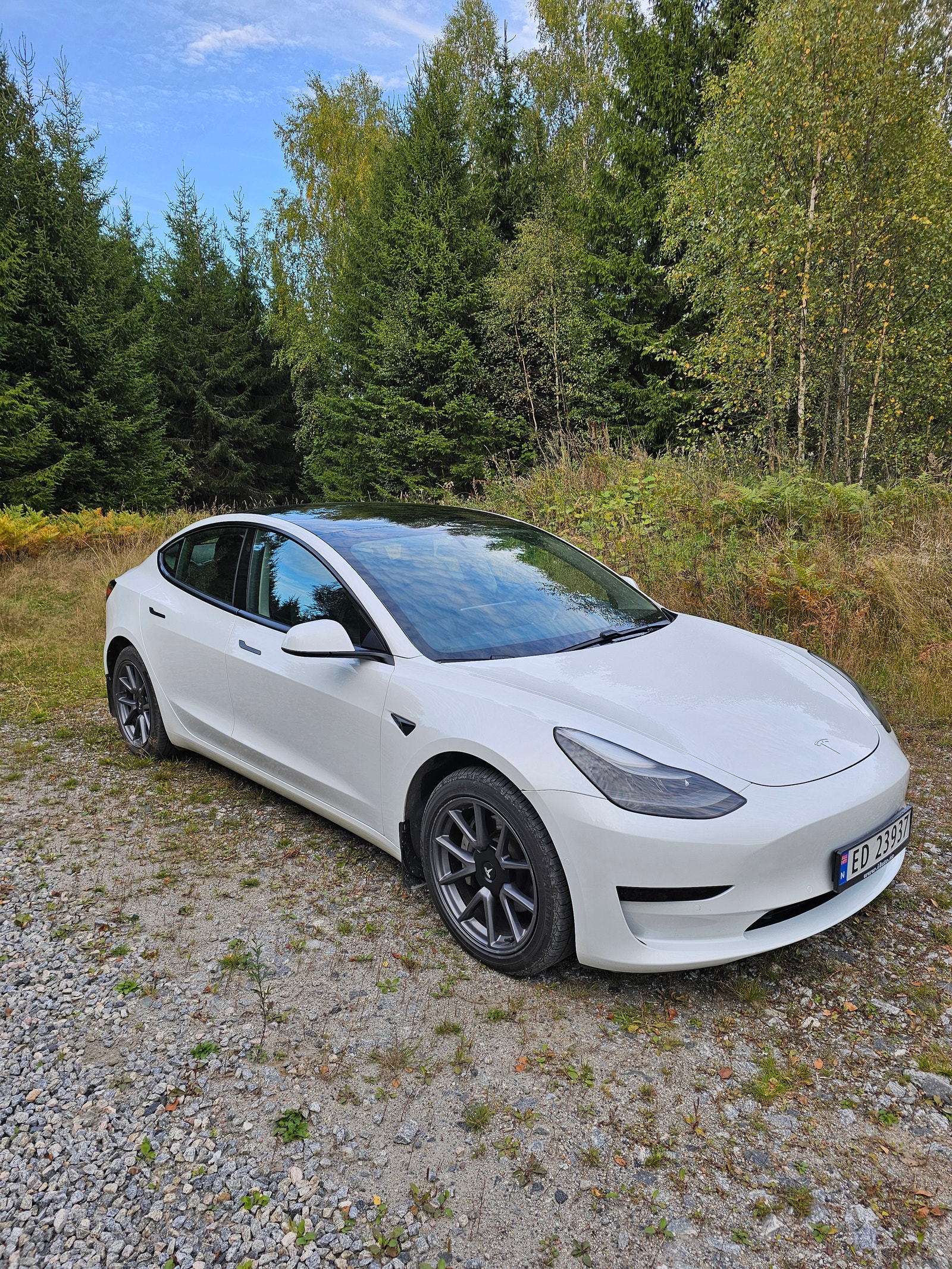 Tesla Model 3 Standard Range Plus, 325ps, 2021