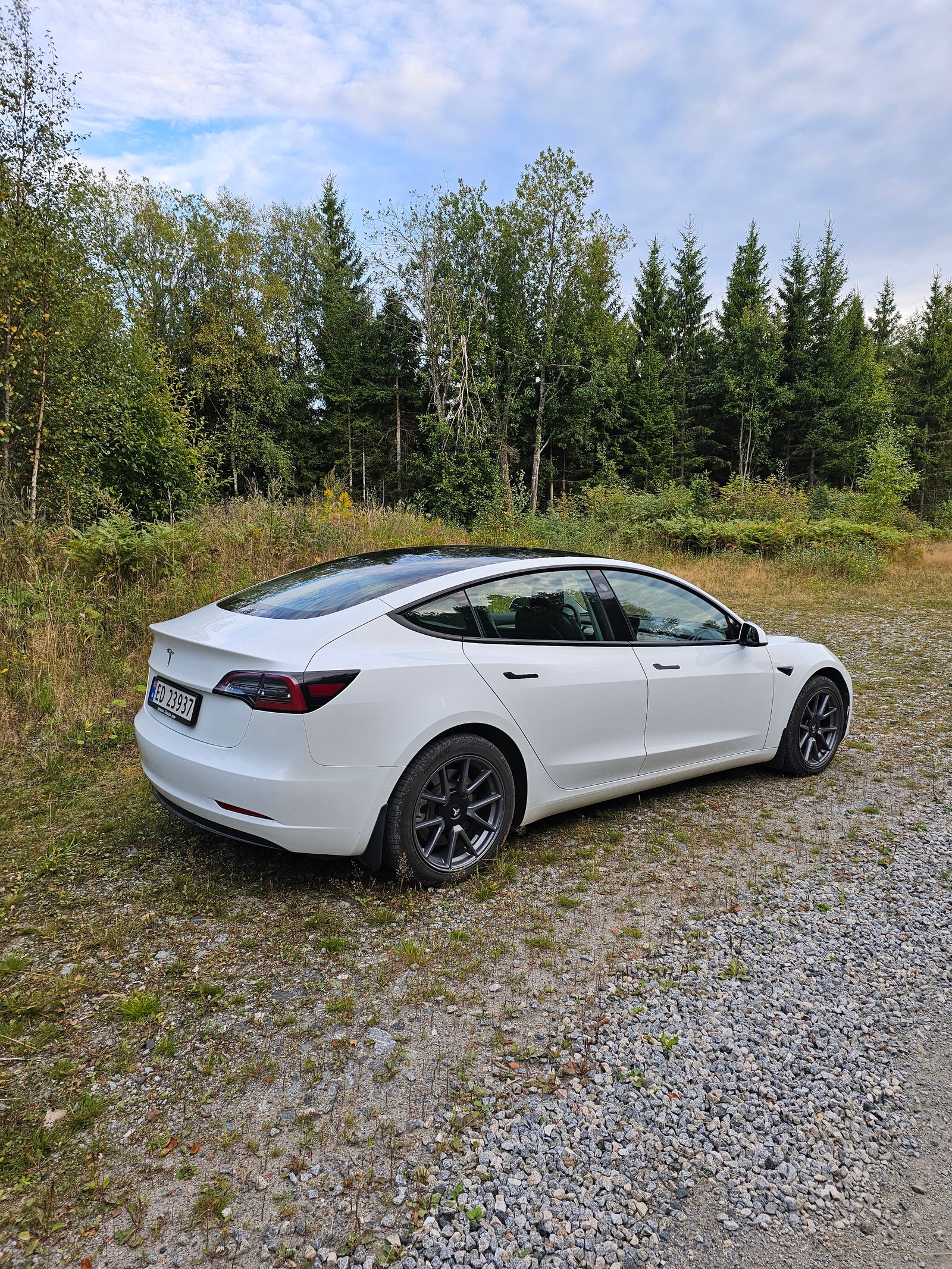 Tesla Model 3 Standard Range Plus, 325ps, 2021