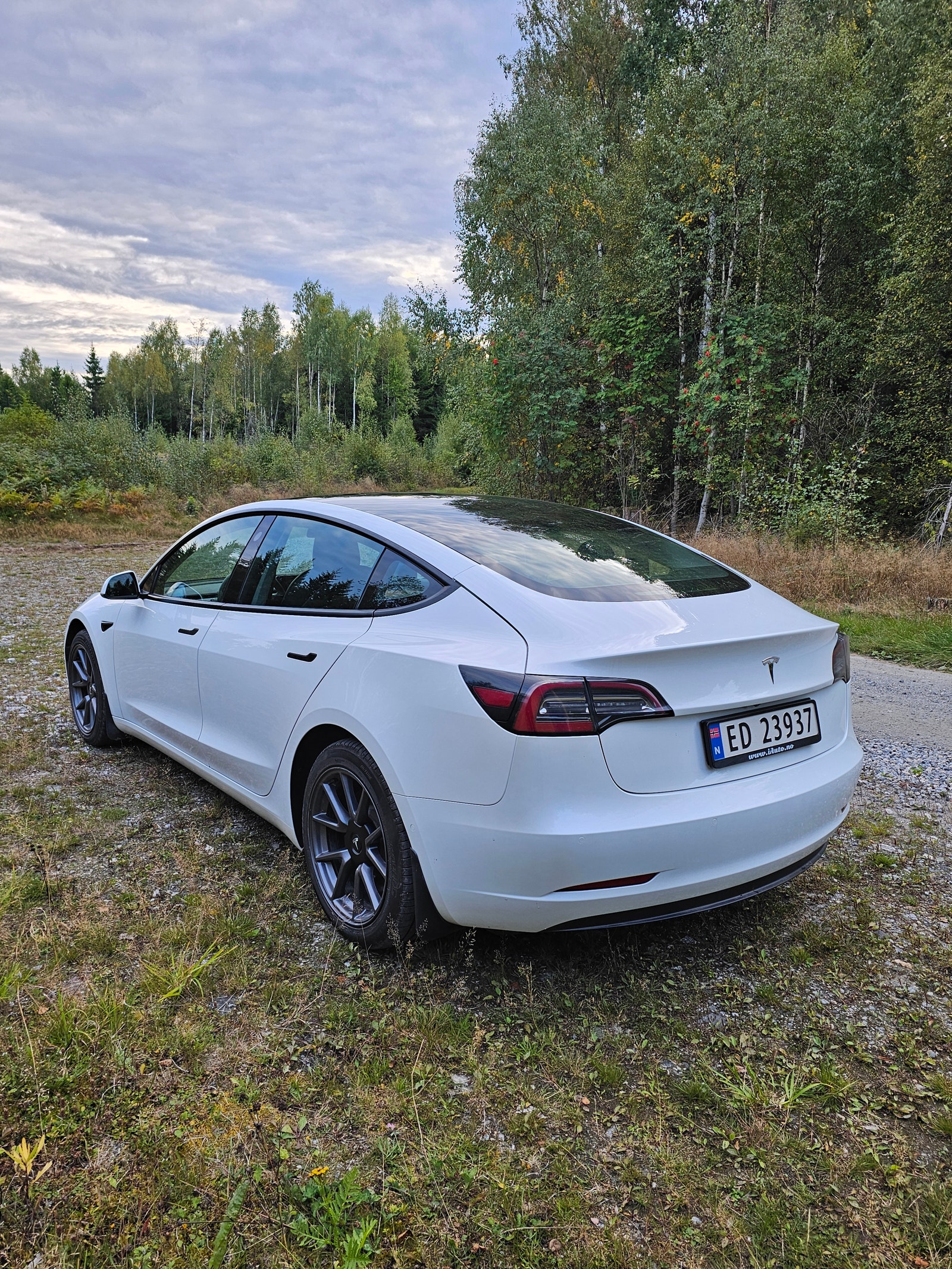 Tesla Model 3 Standard Range Plus, 325ps, 2021
