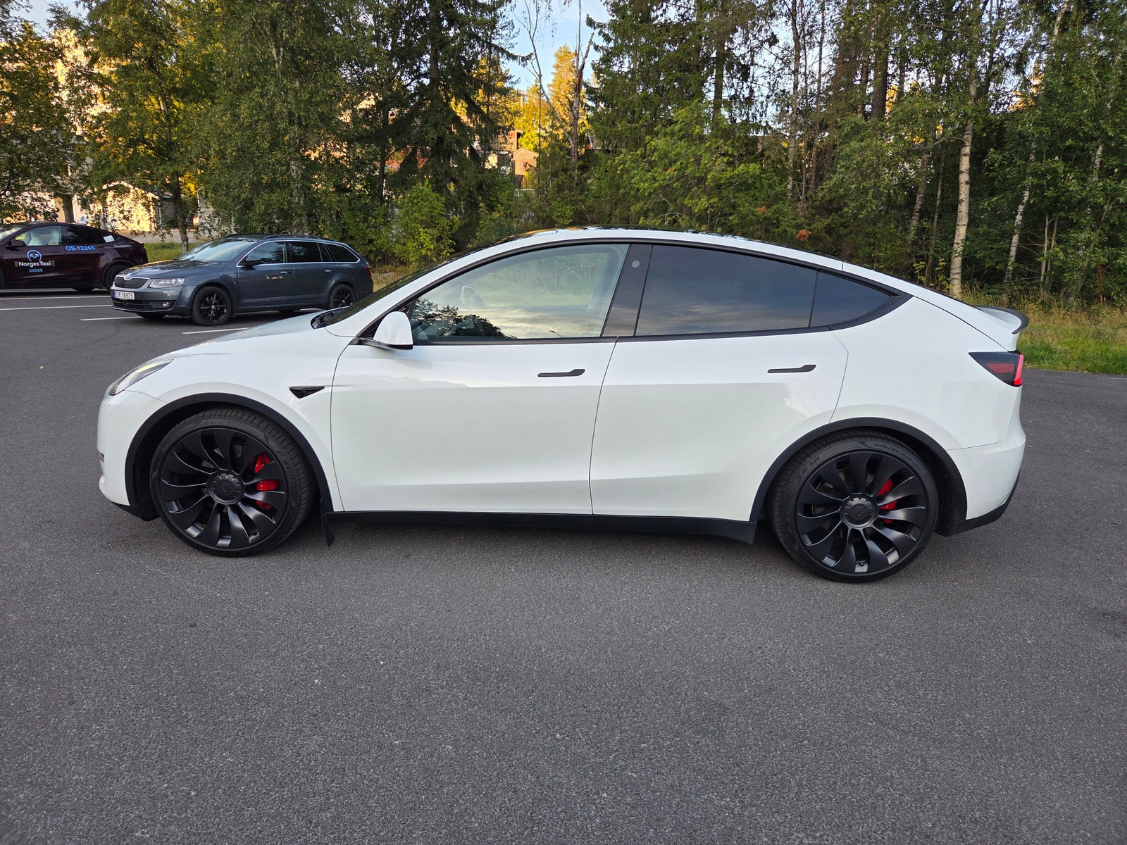 Tesla Model Y Performance, 534hp, 2024