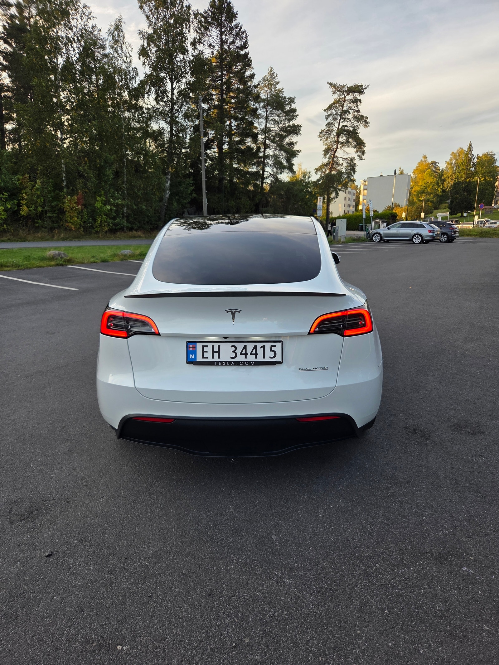 Tesla Model Y Performance, 534hp, 2024