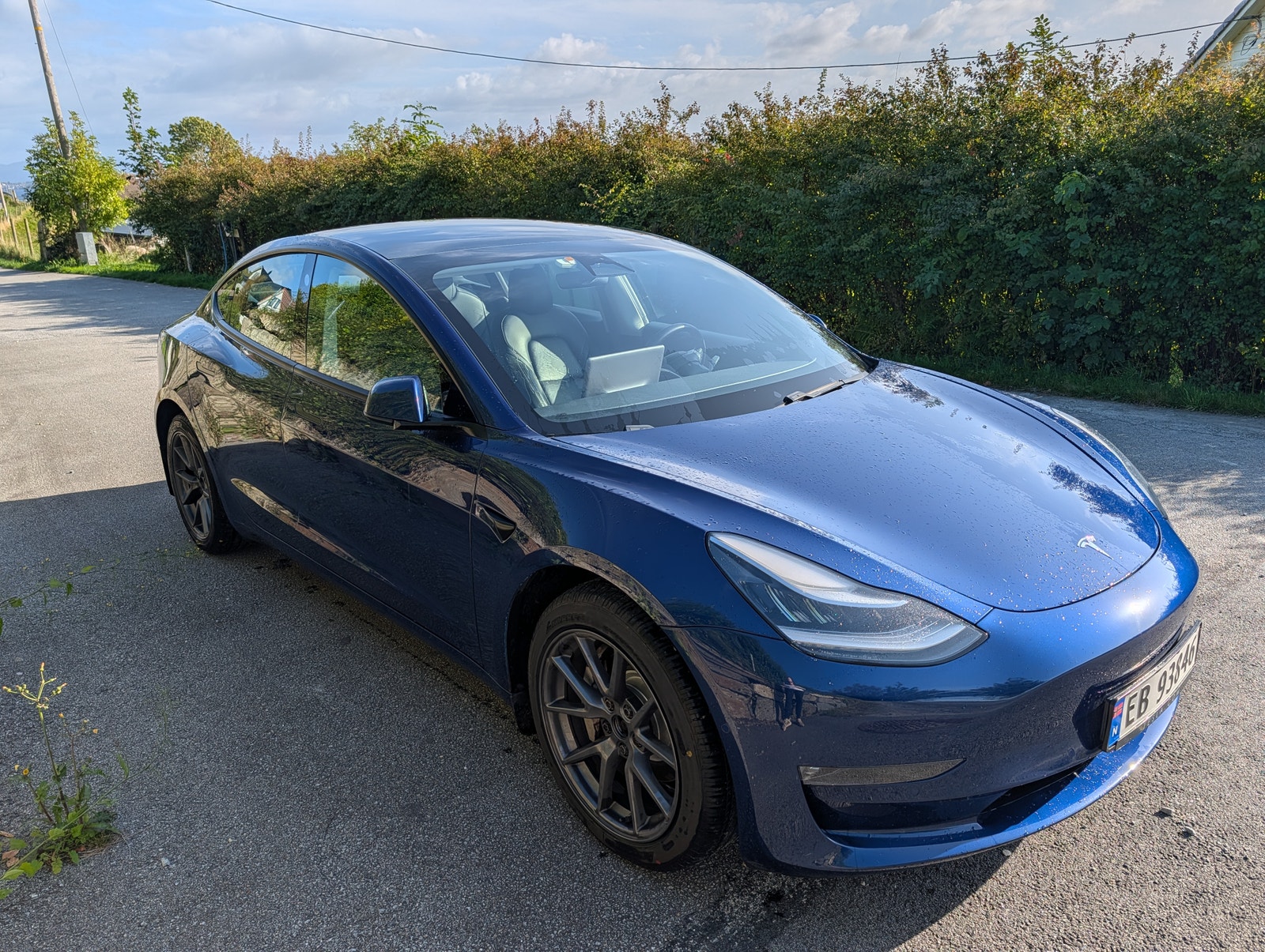 Tesla Model 3 Long Range AWD, 440hp, 2021