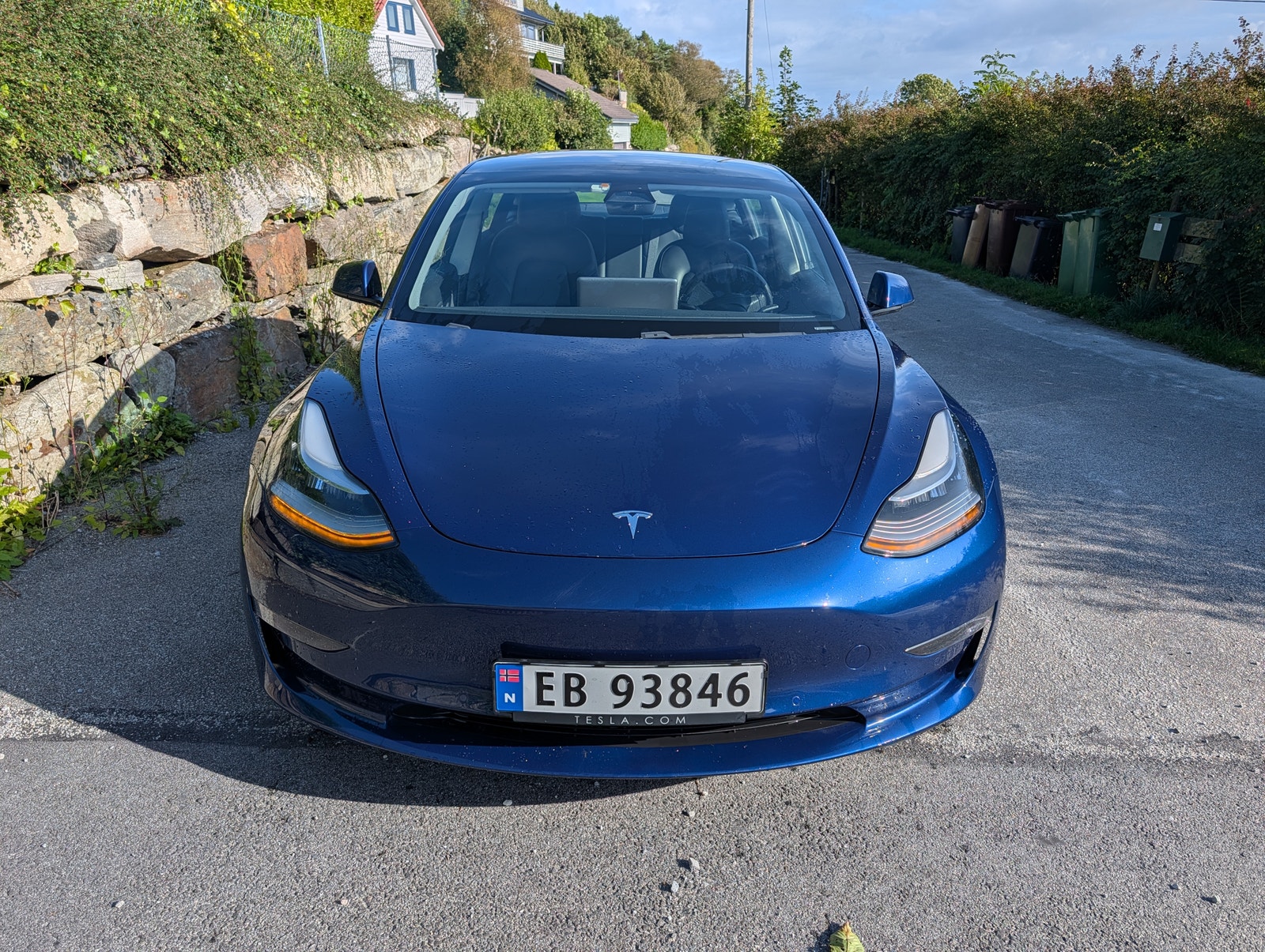 Tesla Model 3 Long Range AWD, 440hp, 2021