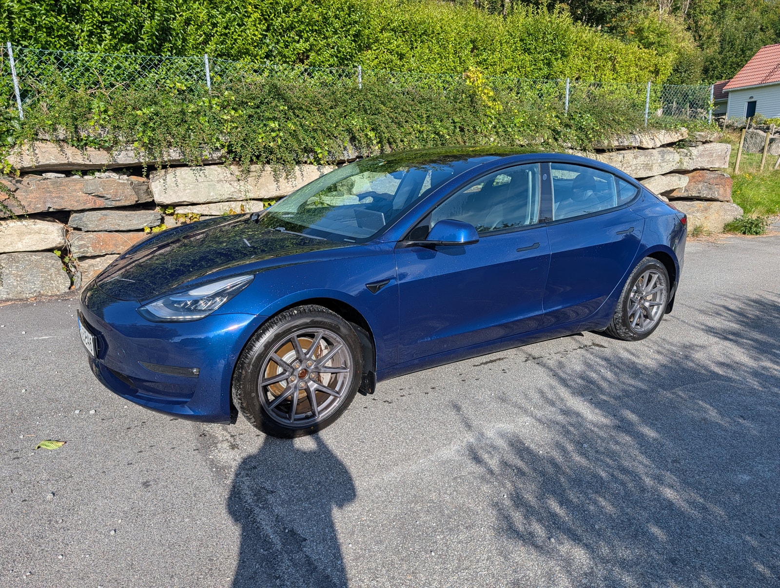 Tesla Model 3 Long Range AWD, 440hp, 2021