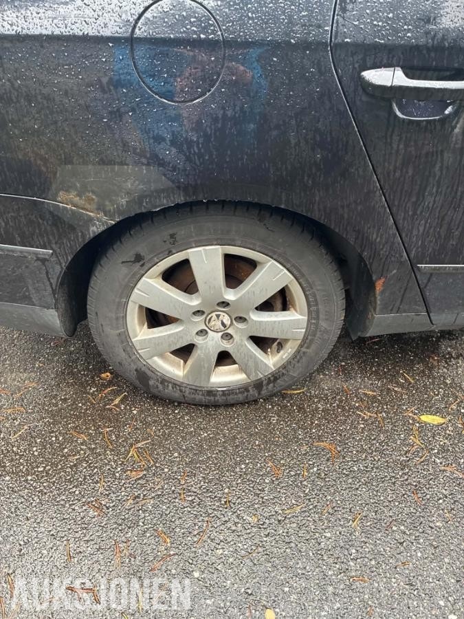 Volkswagen Passat Variant 1.9 TDI DPF Manual, 5-trins, 105ps, 2008
