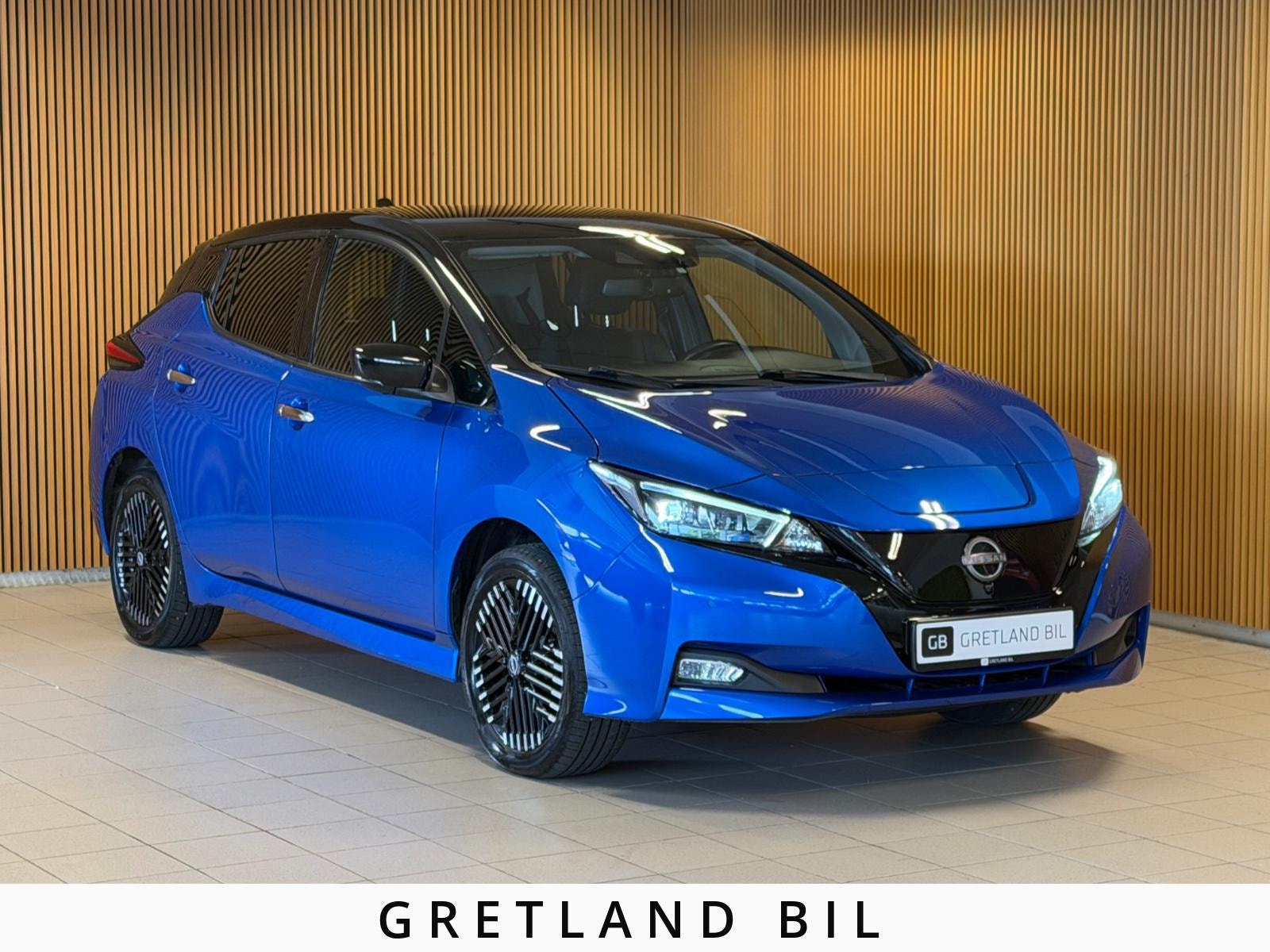 Nissan Leaf e+, 217hp, 2022