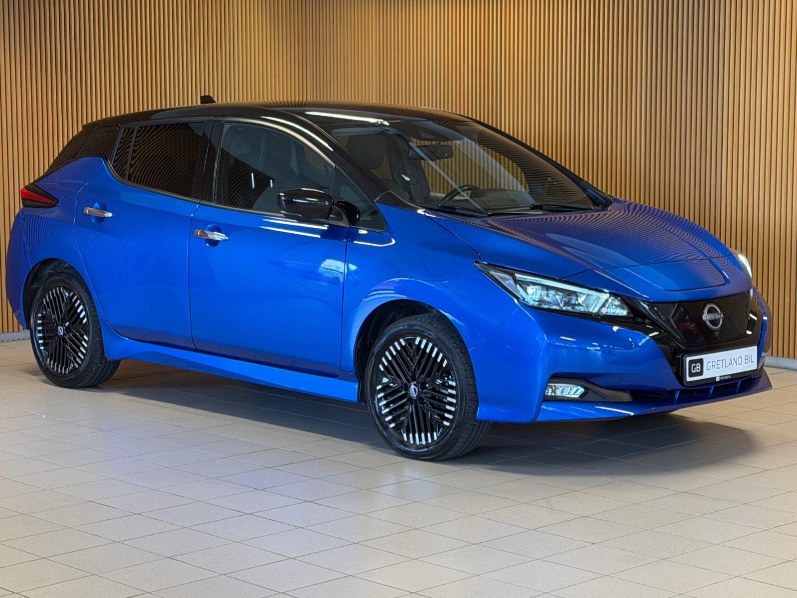 Nissan Leaf e+, 217hp, 2022