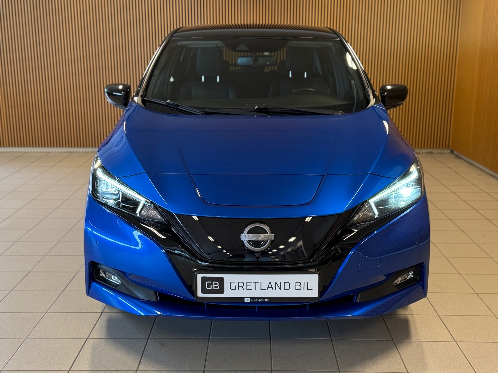 Nissan Leaf e+, 217hp, 2022