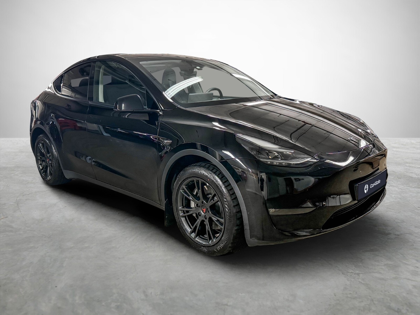 Tesla Model Y Long Range AWD, 514ps, 2024