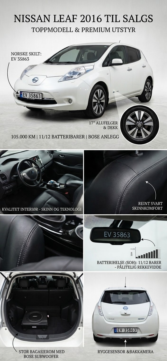 Nissan Leaf 24 kWh, 109ps, 2016