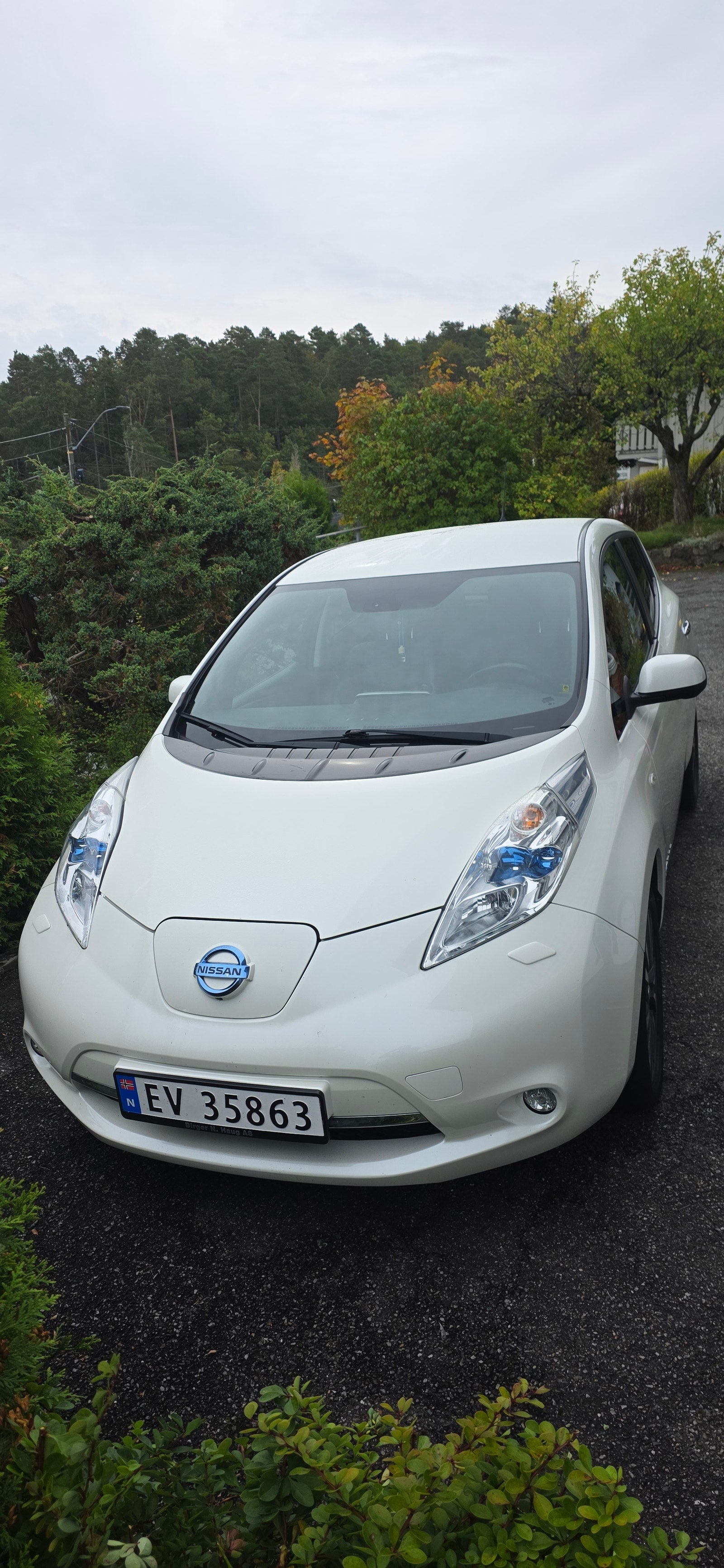 Nissan Leaf 24 kWh, 109ps, 2016