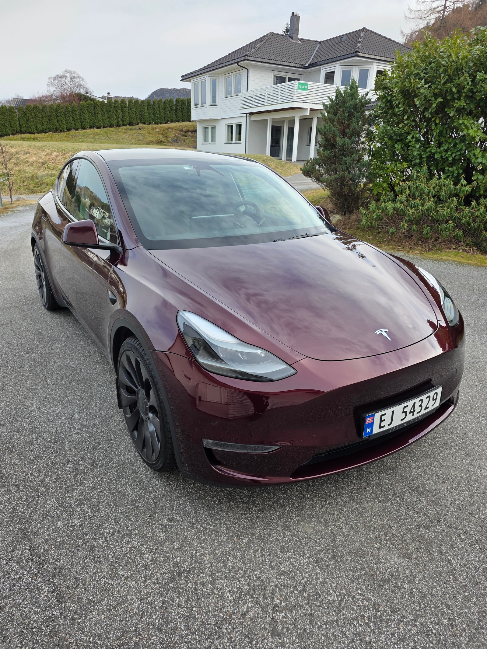 Tesla Model Y Performance, 534hp, 2024