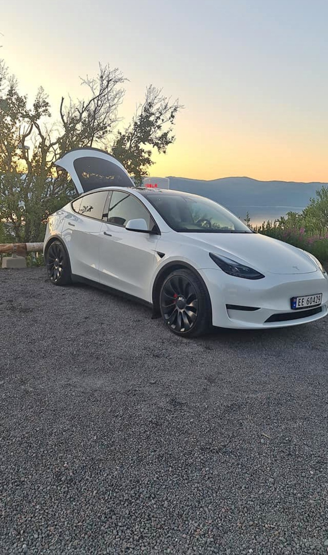 Tesla Model Y Performance, 534ps, 2023