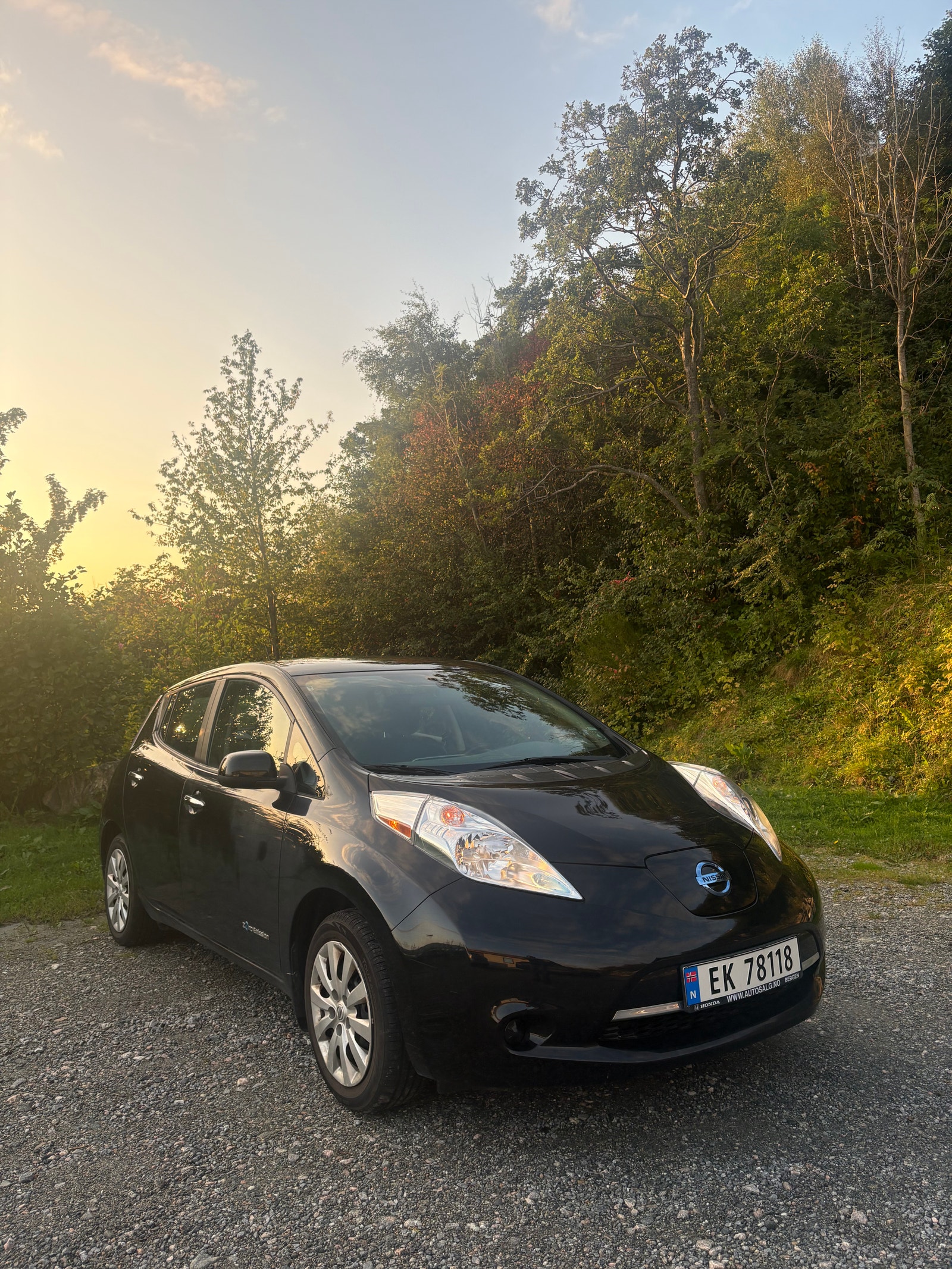 Nissan Leaf 24 kWh, 109hp, 2015