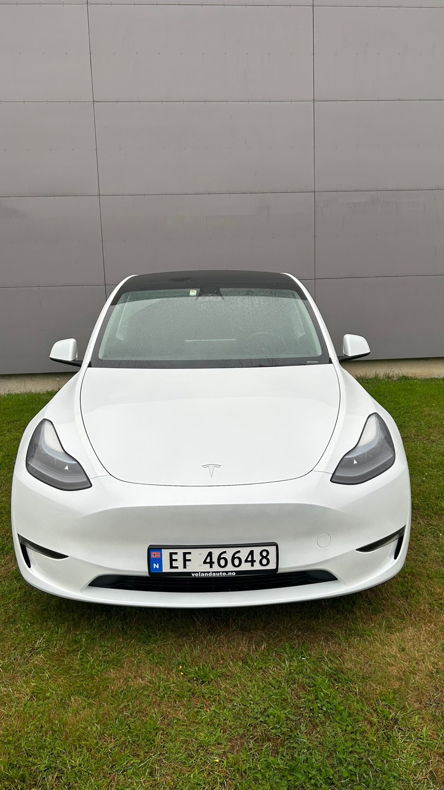 Tesla Model Y Long Range AWD, 514hp, 2023