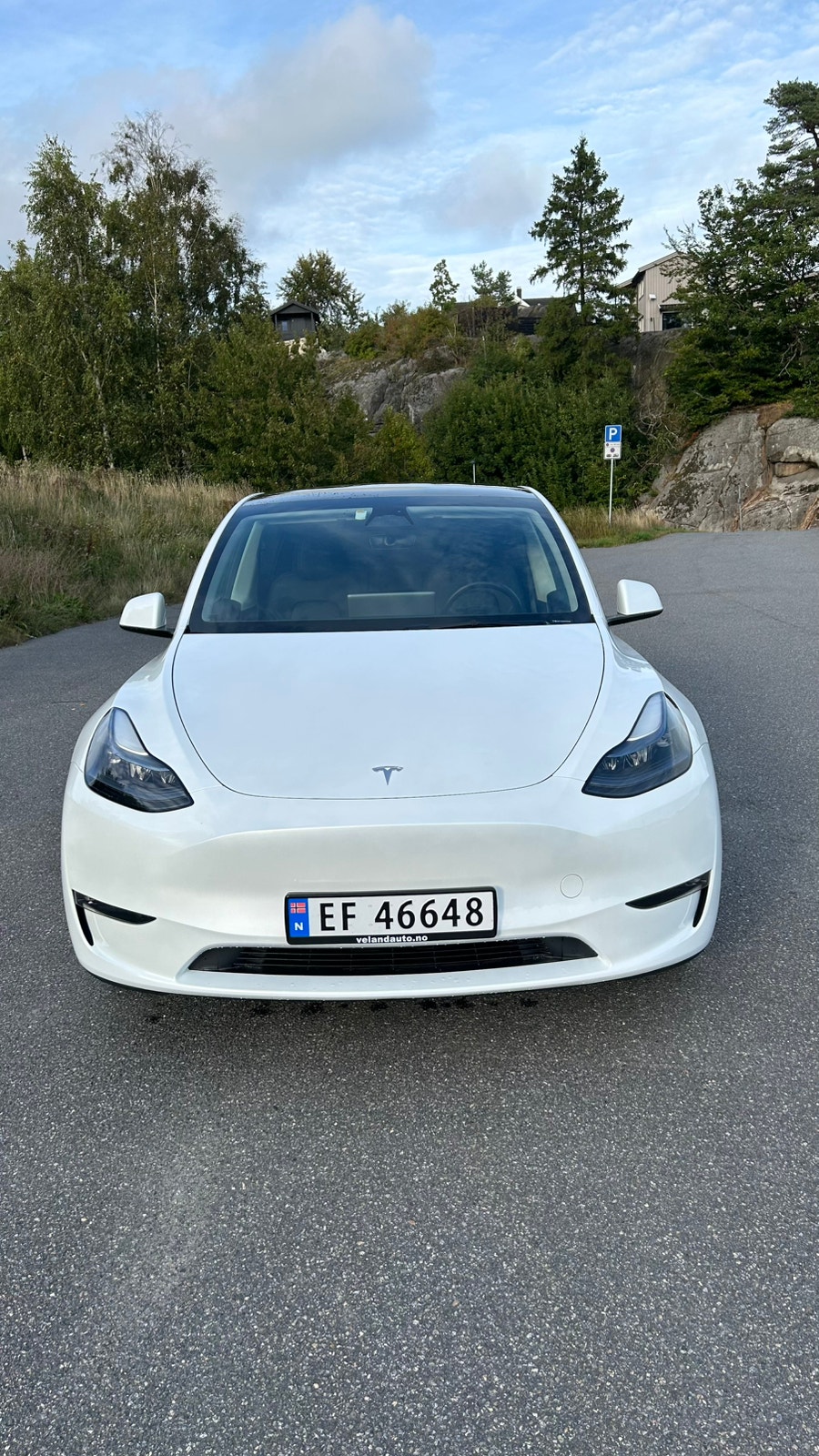 Tesla Model Y Long Range AWD, 514hp, 2023