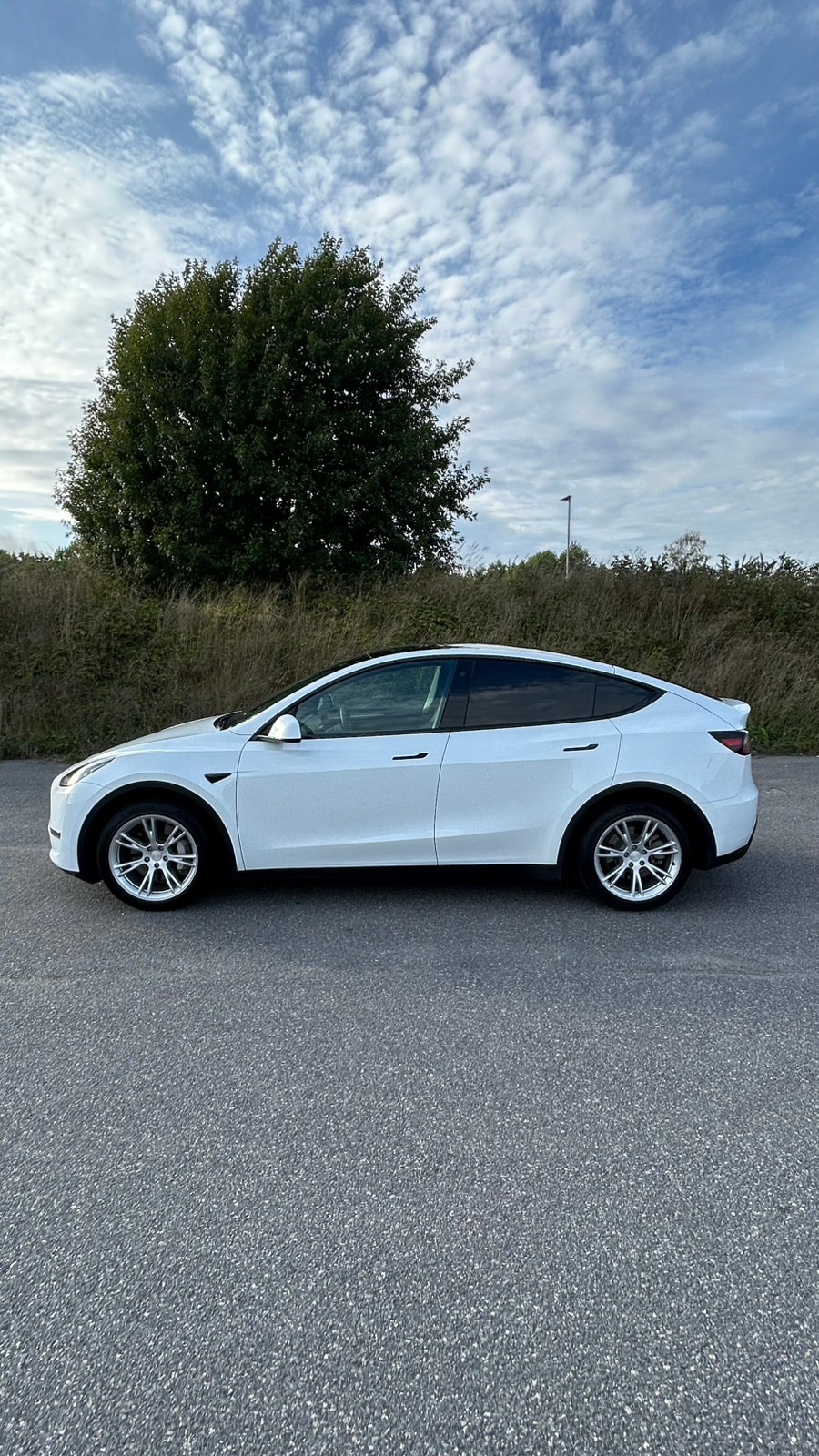 Tesla Model Y Long Range AWD, 514hp, 2023