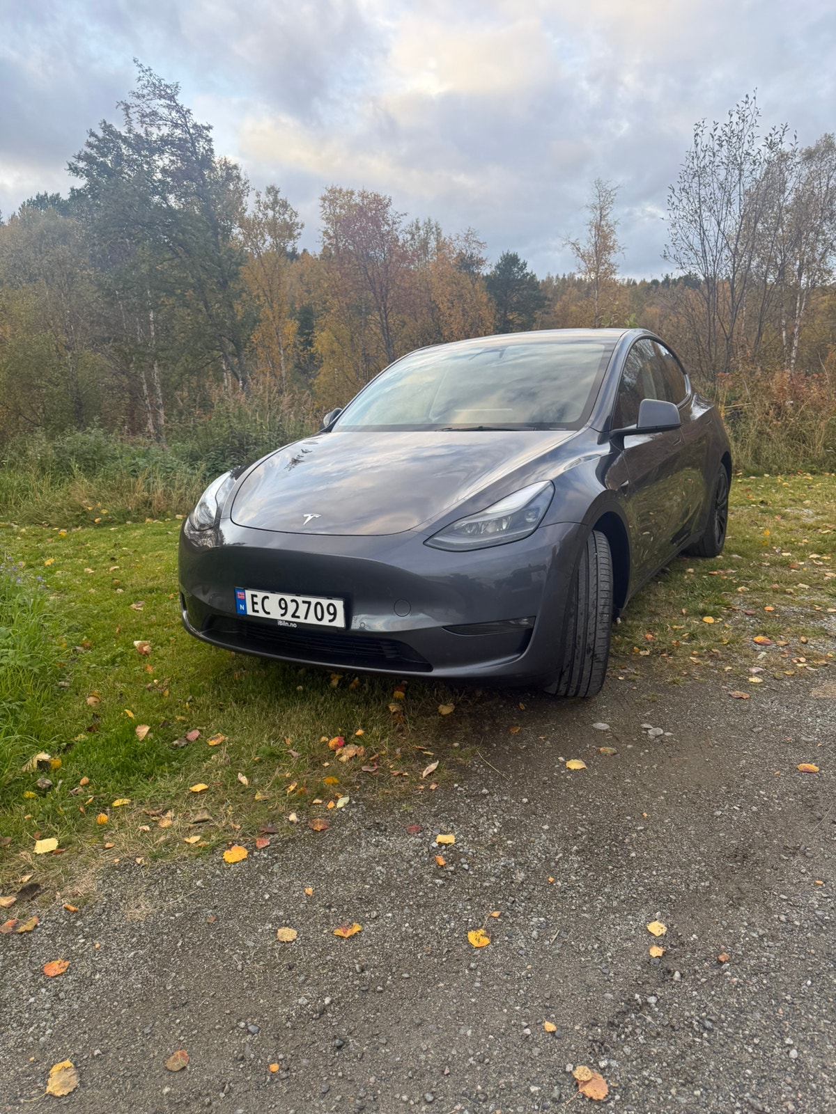 Tesla Model Y Long Range AWD, 514hp, 2021