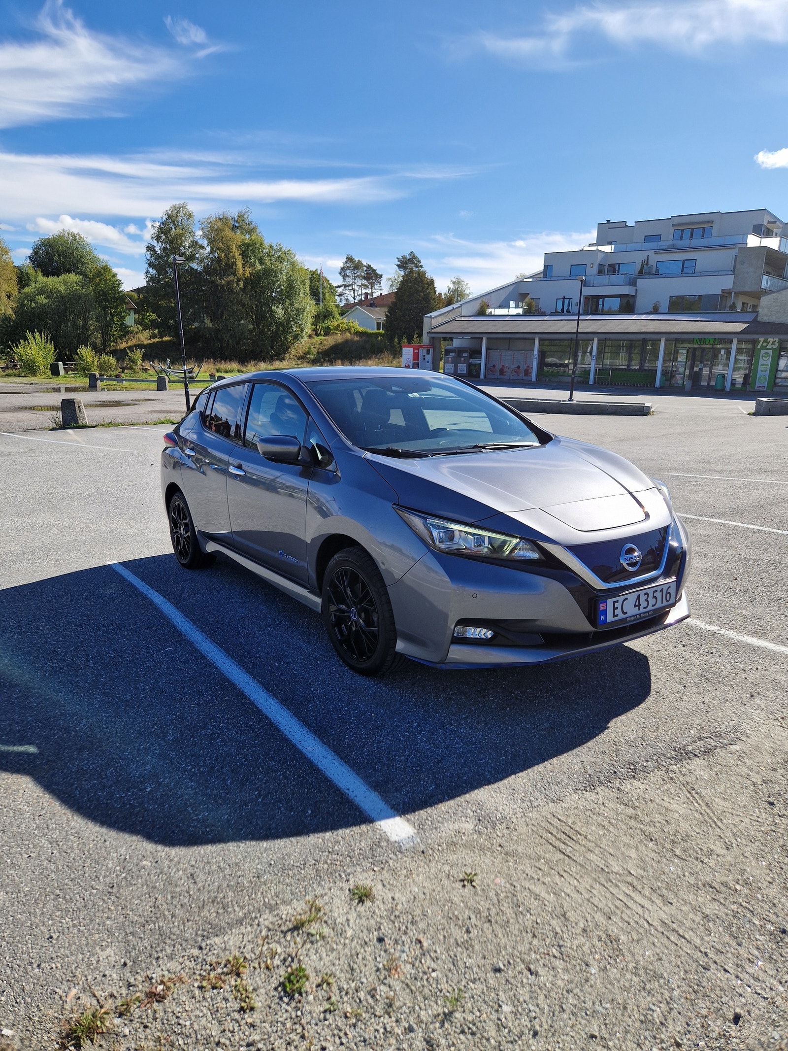 Nissan Leaf e+, 217hk, 2019