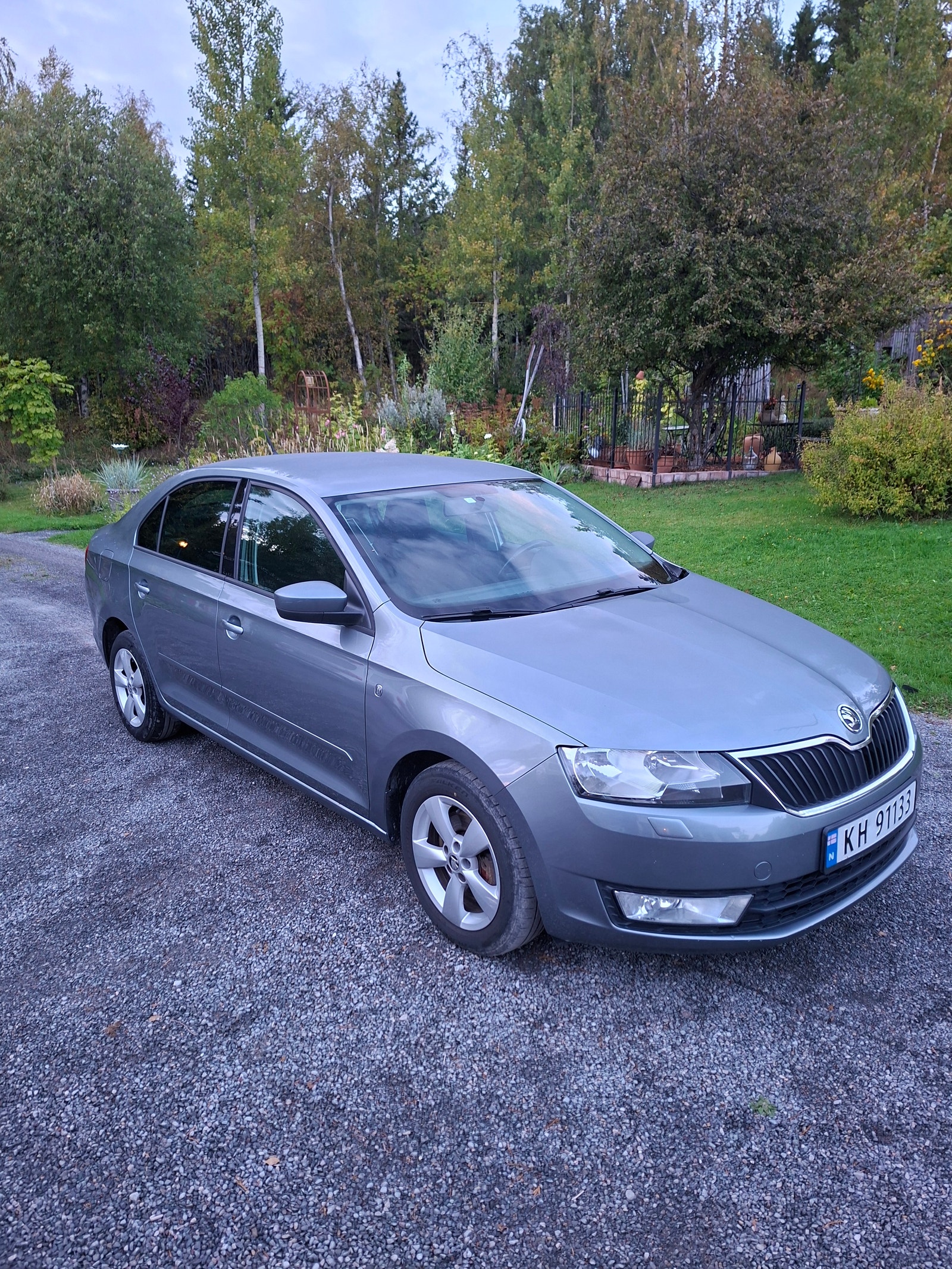 Škoda Rapid 1.6 TDI Manual, 105hp, 2013