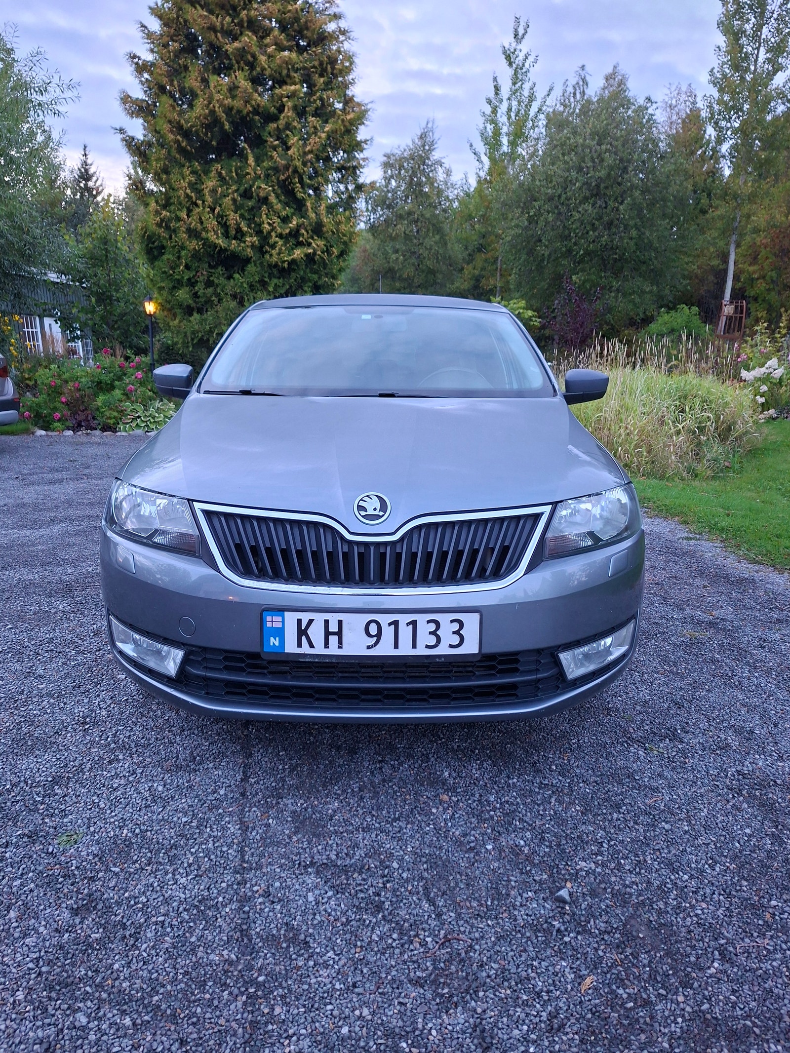 Škoda Rapid 1.6 TDI Manual, 105hp, 2013