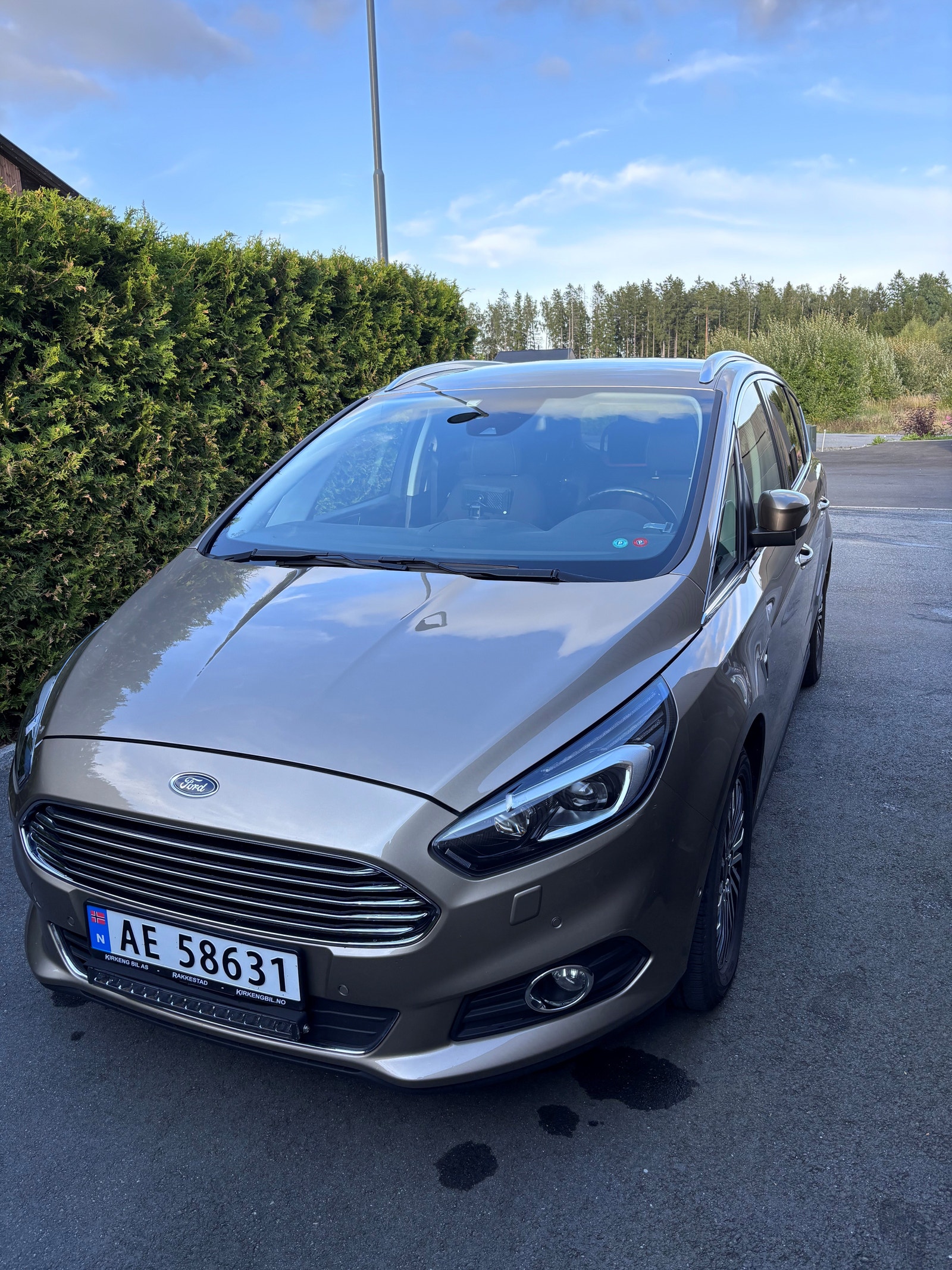Ford S-MAX 2.0 EcoBlue SelectShift, 8-trinn, 190hk, 2019