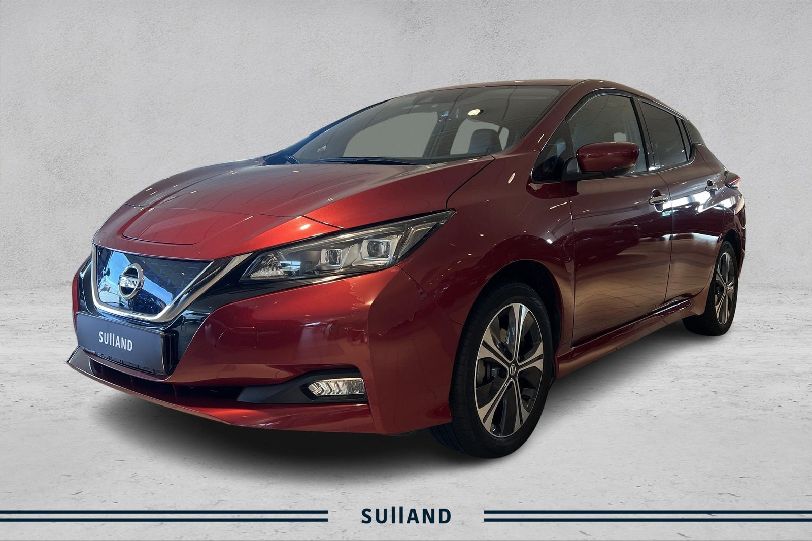 Nissan Leaf e+, 217hk, 2021