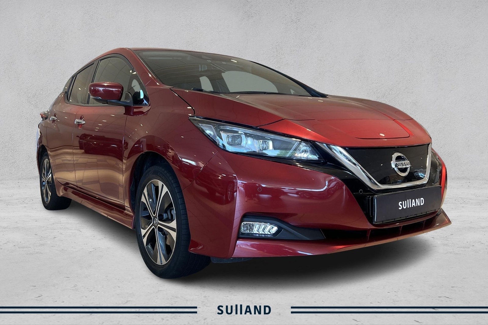 Nissan Leaf e+, 217hk, 2021