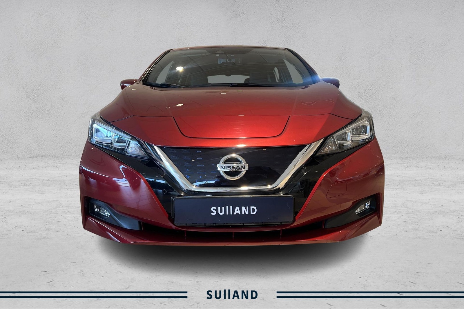 Nissan Leaf e+, 217hk, 2021
