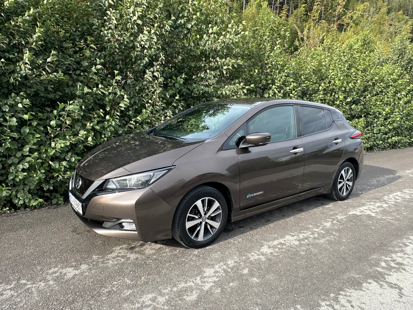 Nissan Leaf, 150ps, 2019