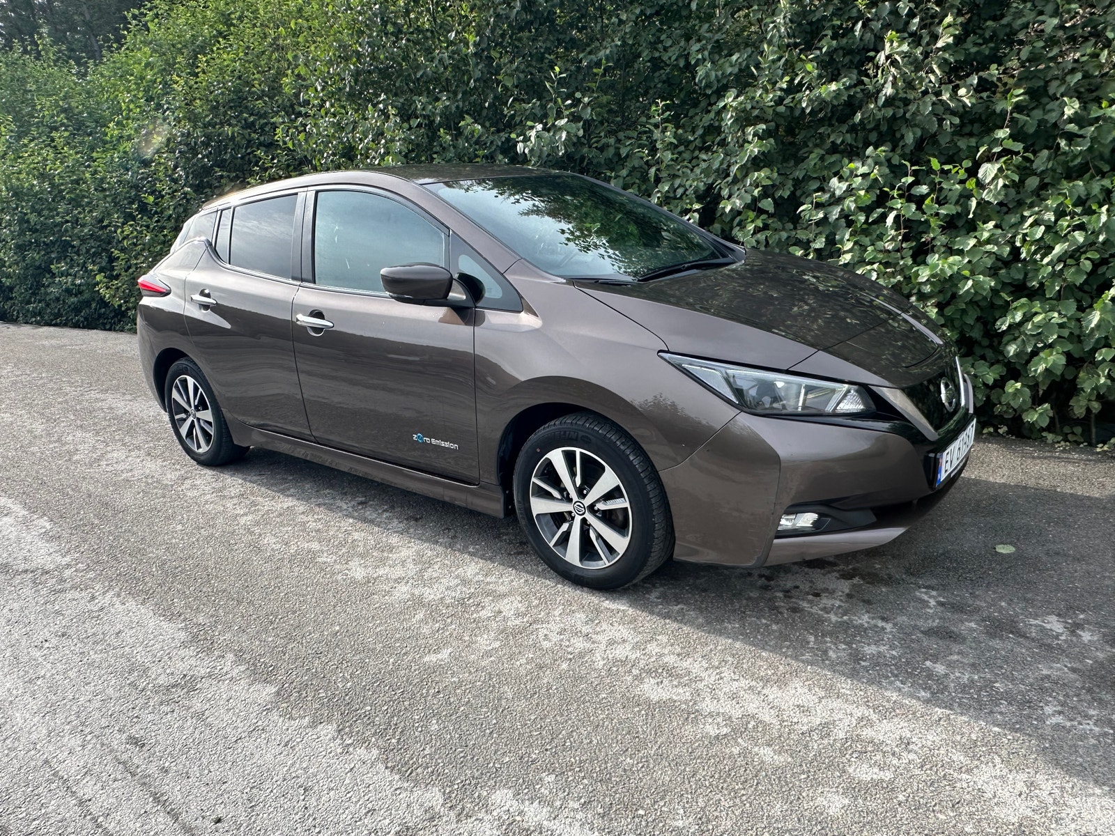 Nissan Leaf, 150ps, 2019