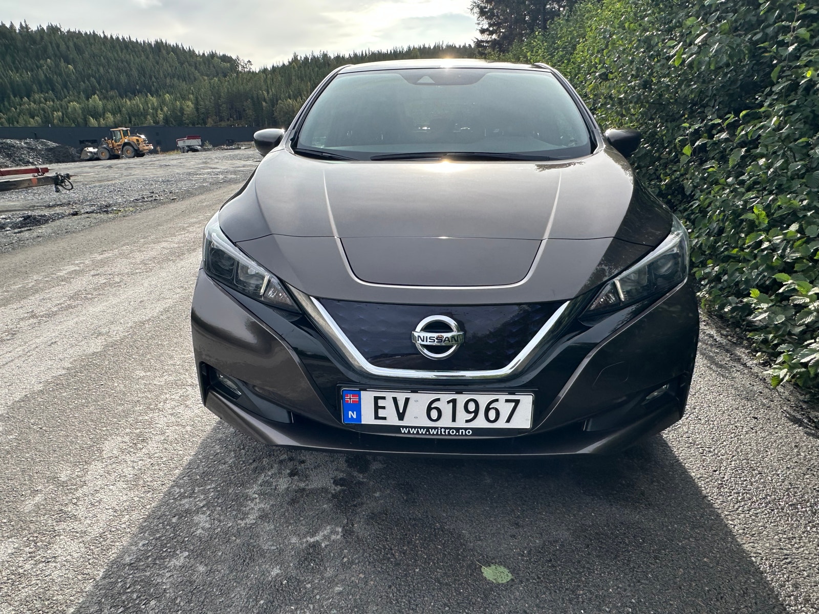 Nissan Leaf, 150ps, 2019