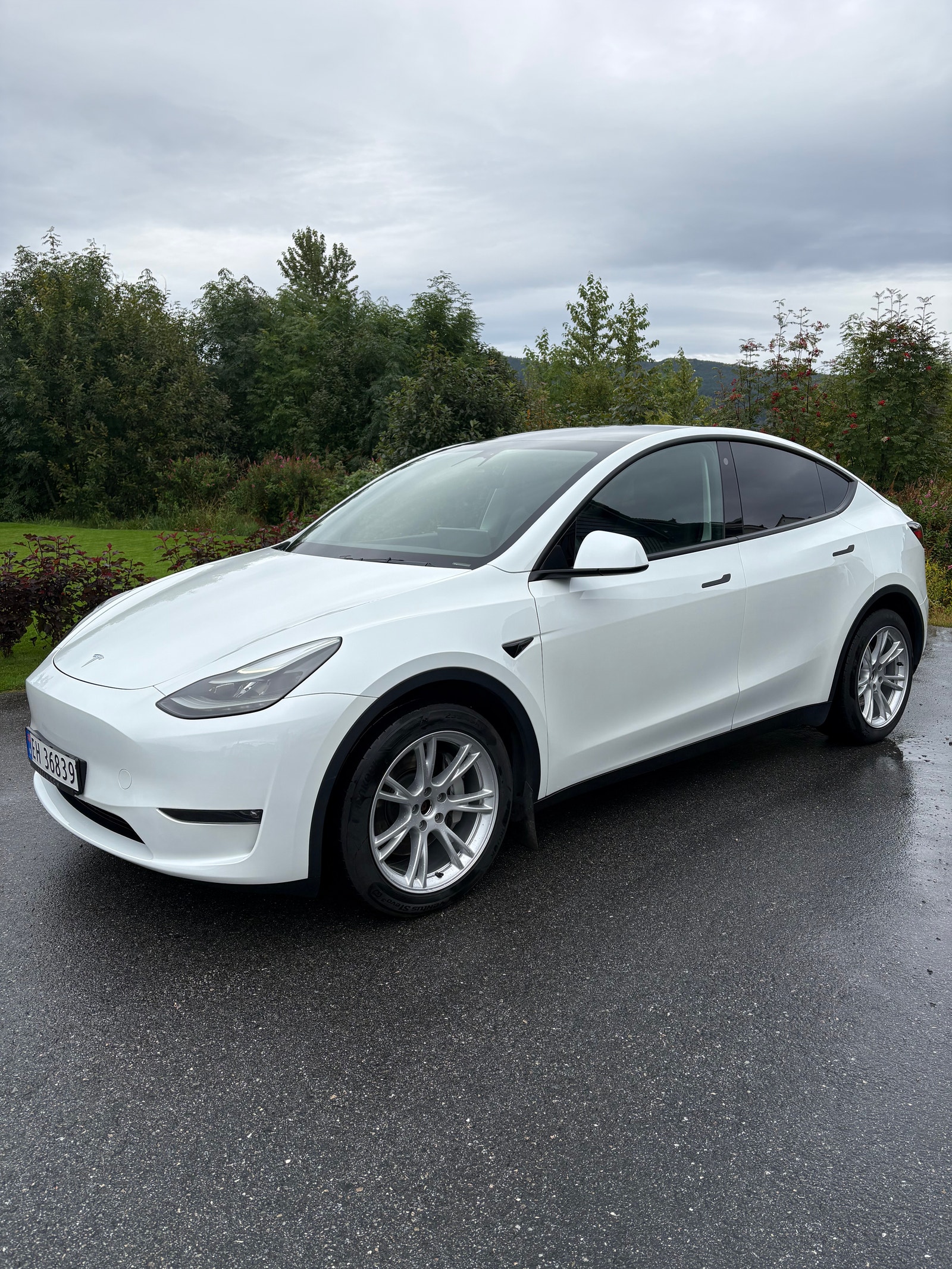 Tesla Model Y Long Range AWD, 514ps, 2024