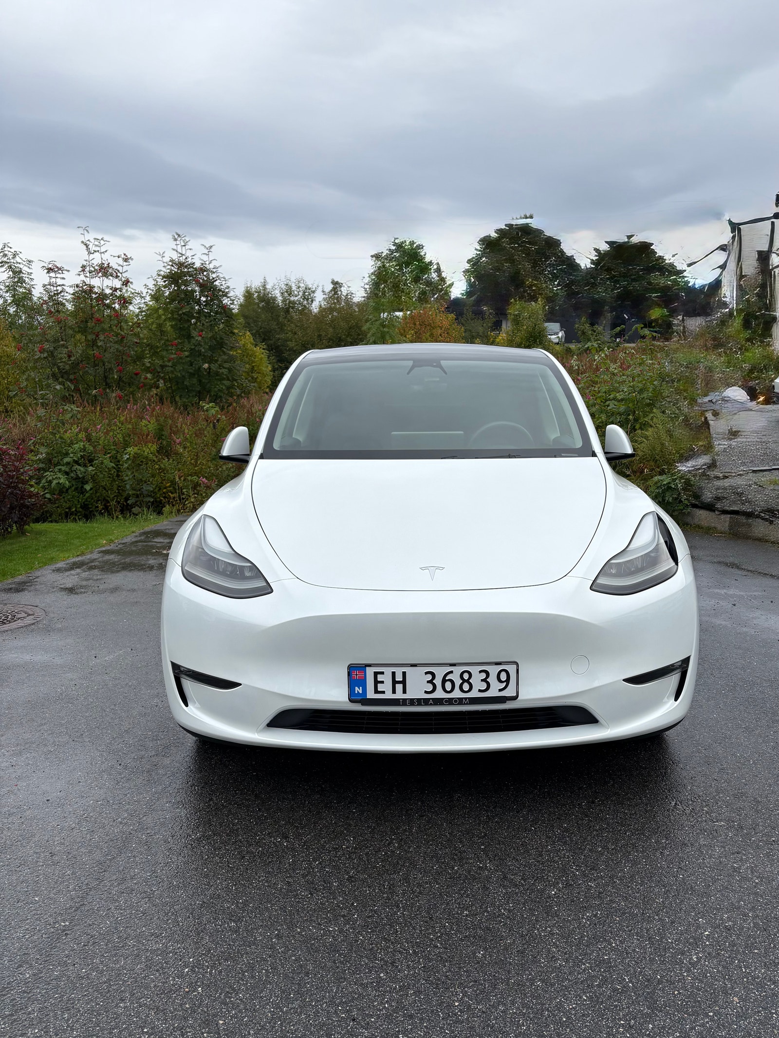 Tesla Model Y Long Range AWD, 514ps, 2024