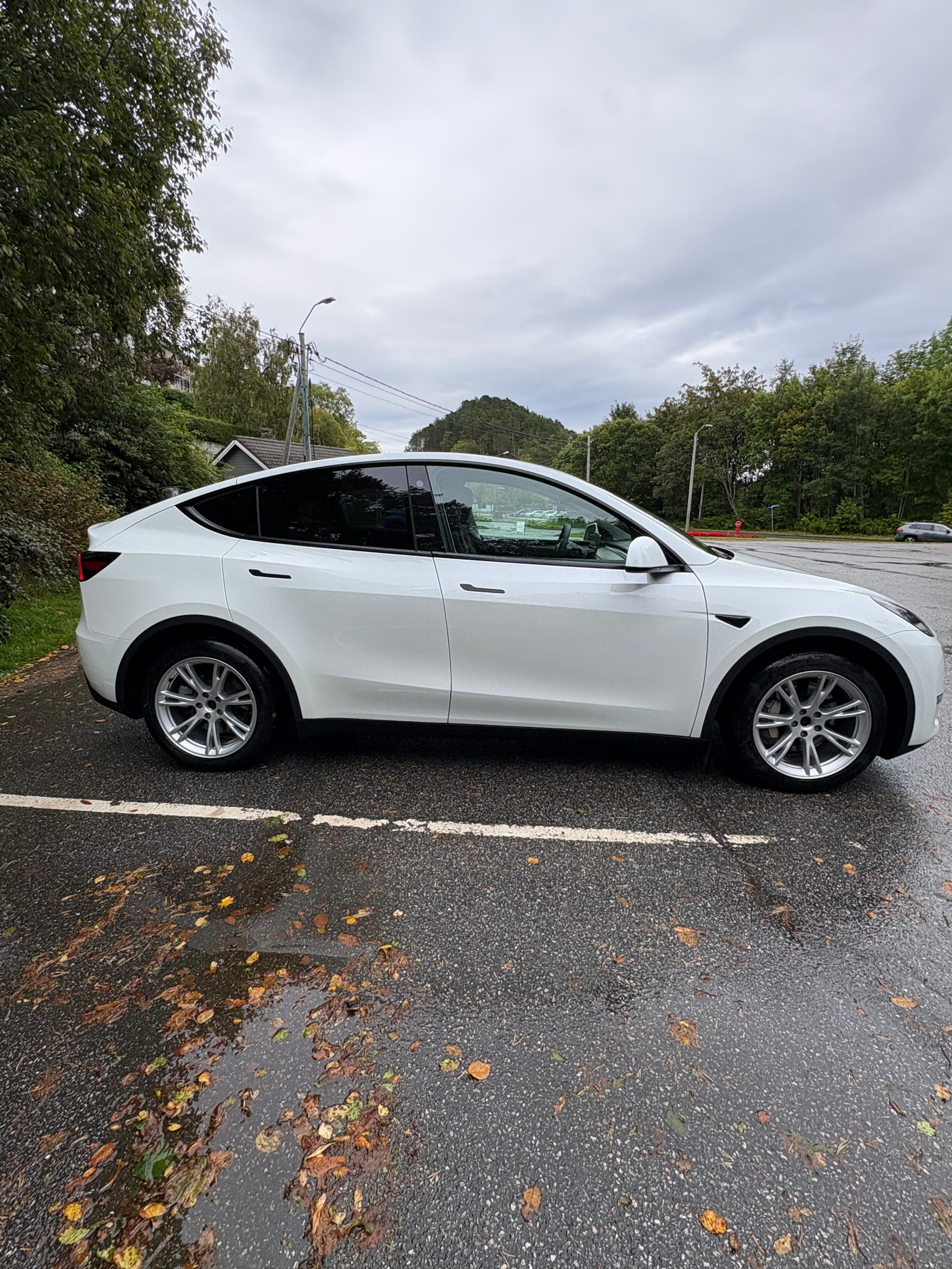 Tesla Model Y Long Range AWD, 514ps, 2024