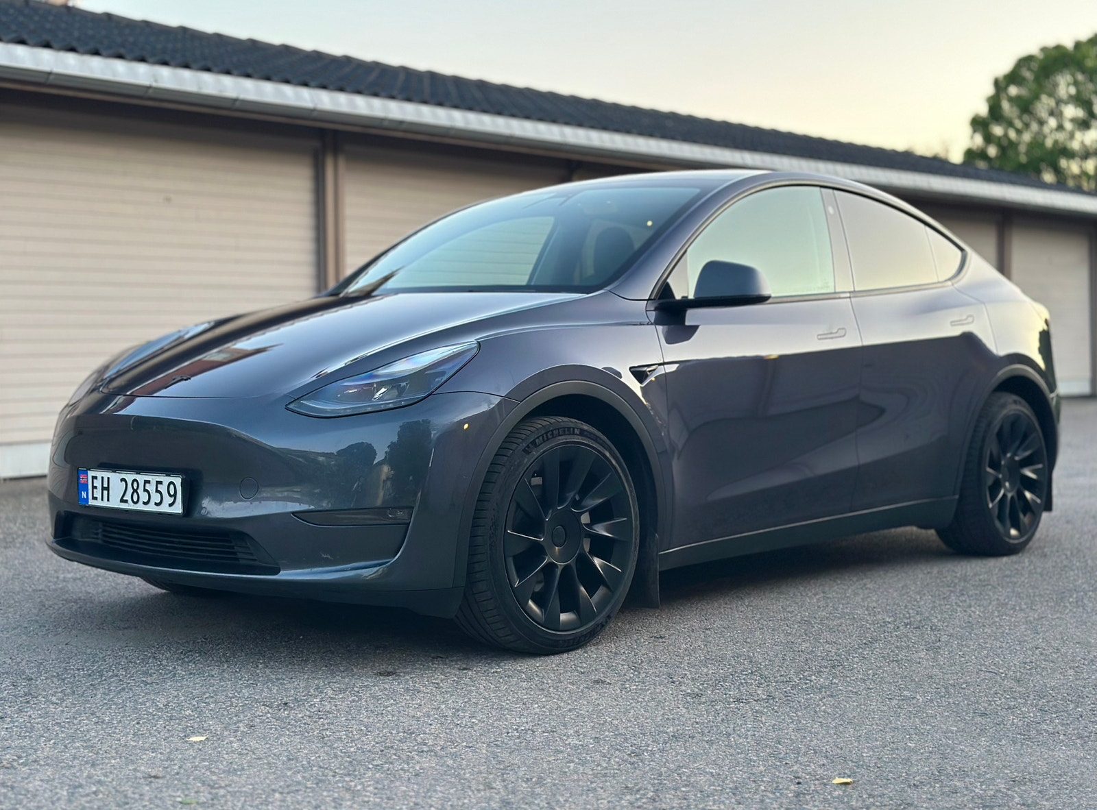 Tesla Model Y Long Range AWD, 514hp, 2021