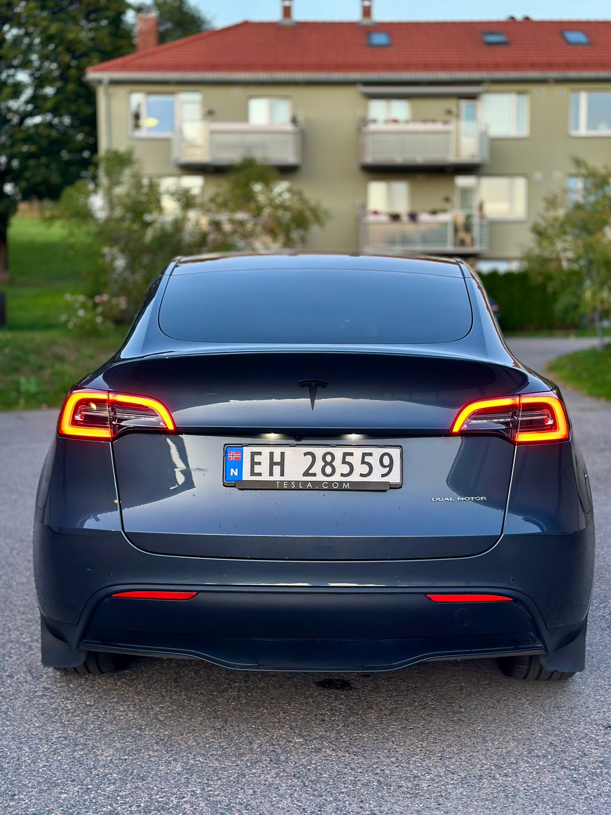Tesla Model Y Long Range AWD, 514hp, 2021