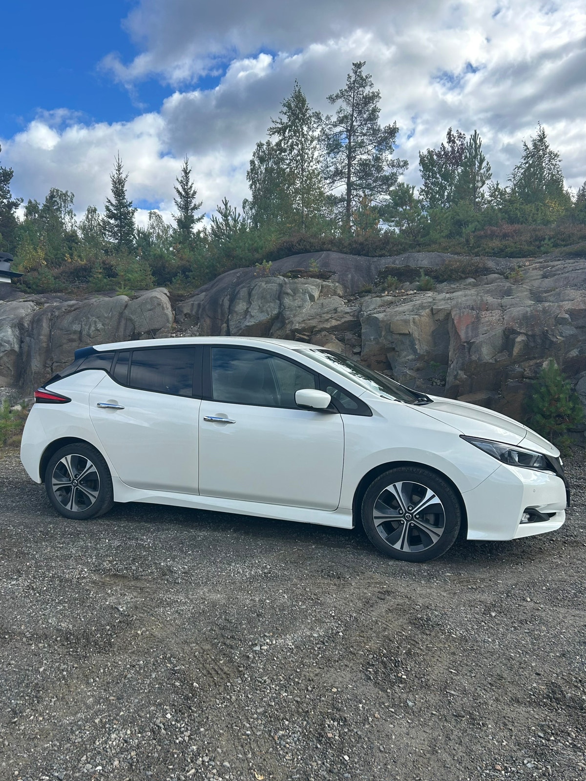 Nissan Leaf, 150ps, 2018