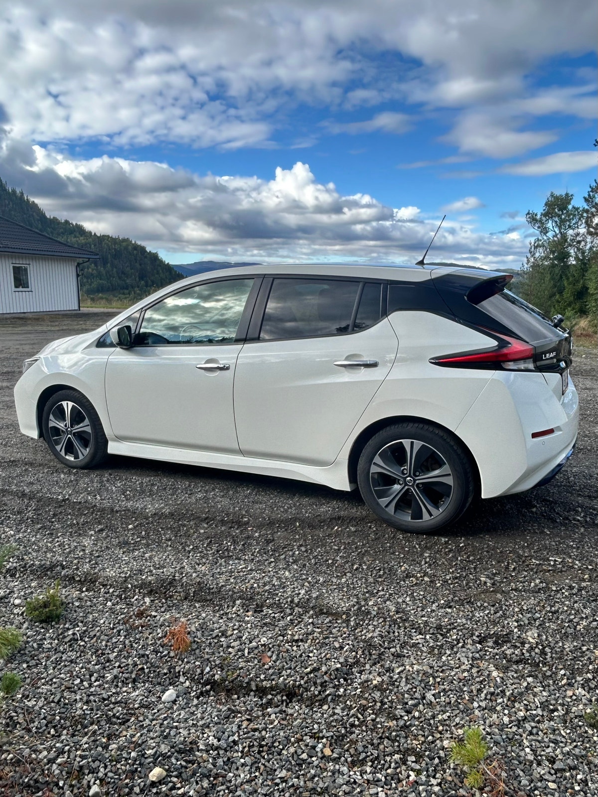 Nissan Leaf, 150ps, 2018